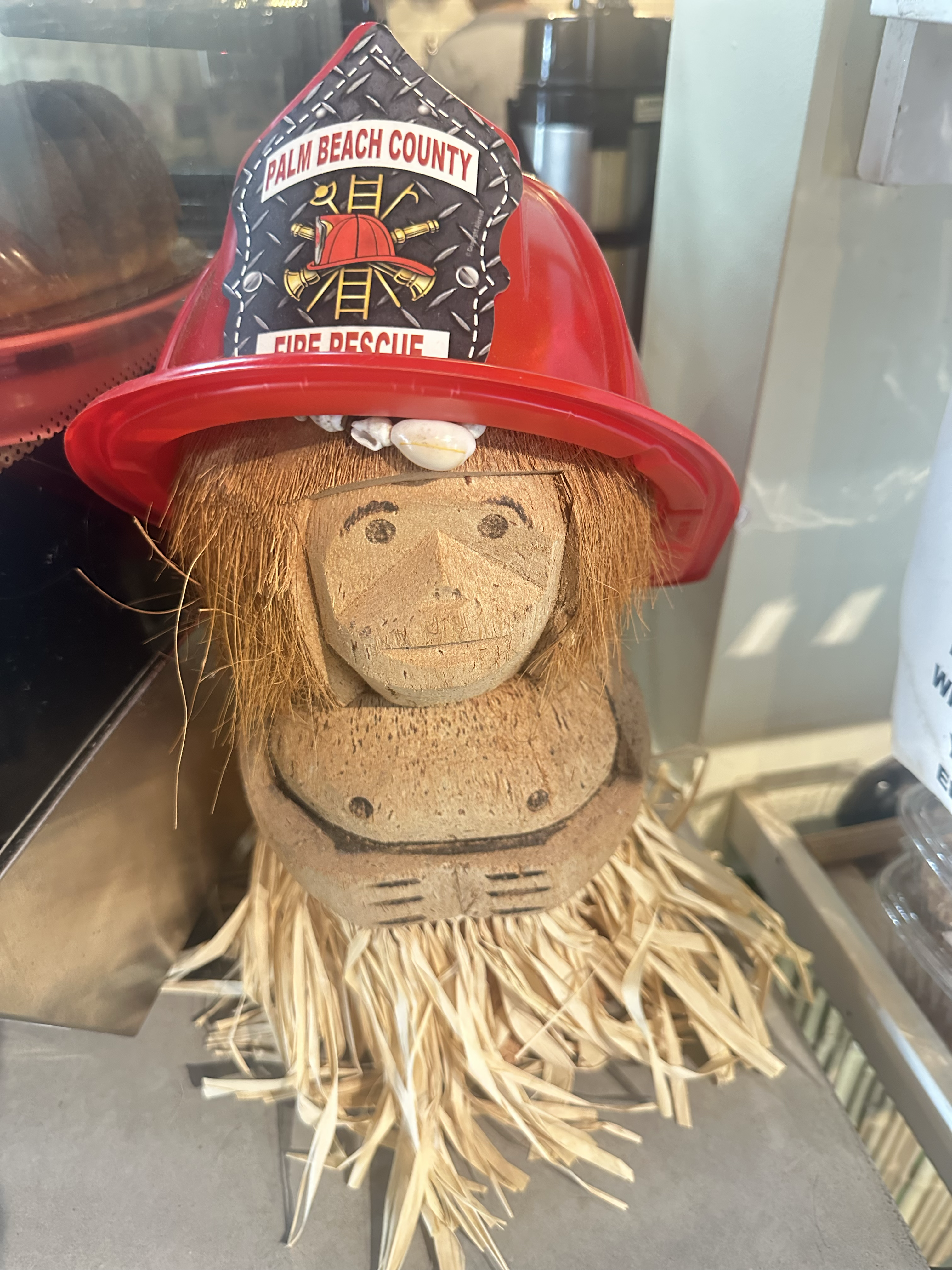 Fire Rescue Palme Beach County