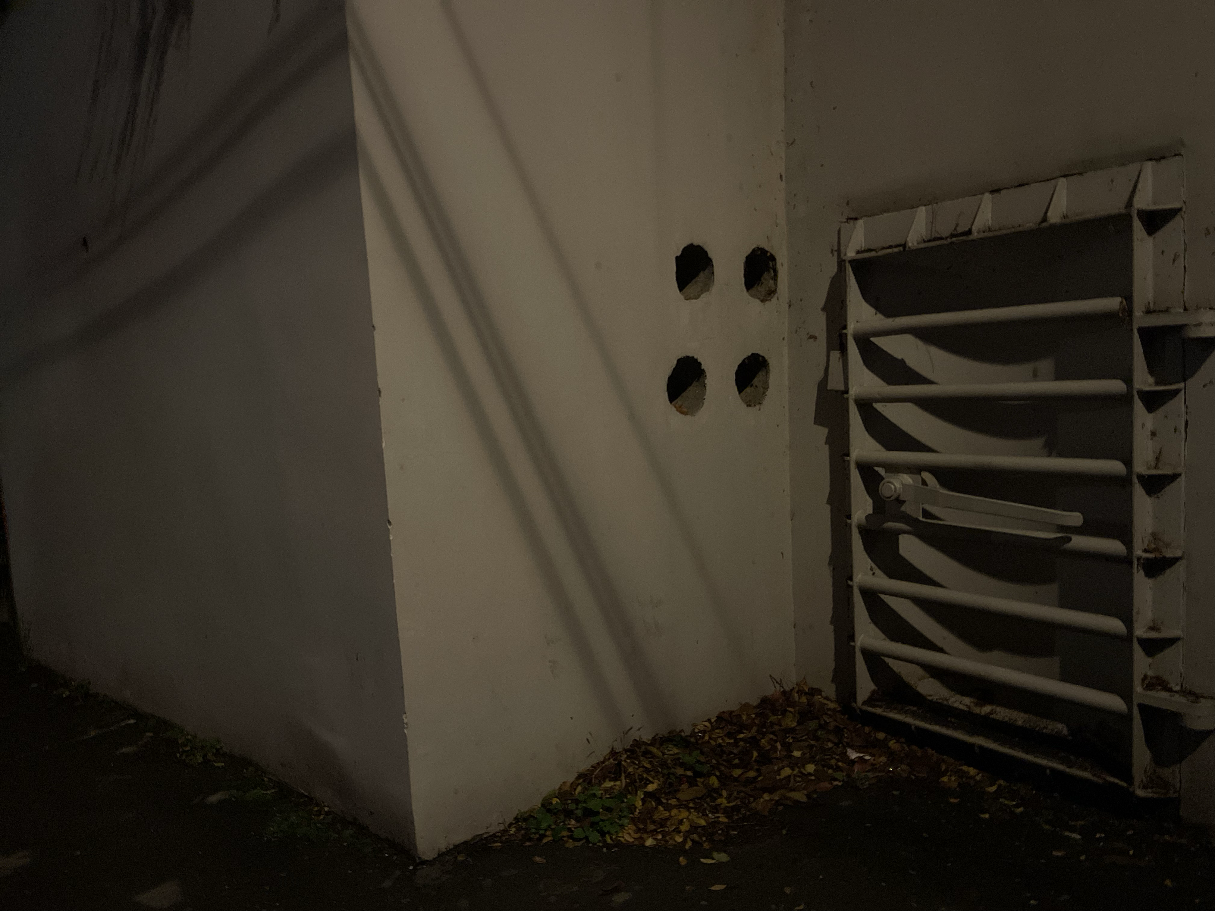 Photo 2638248