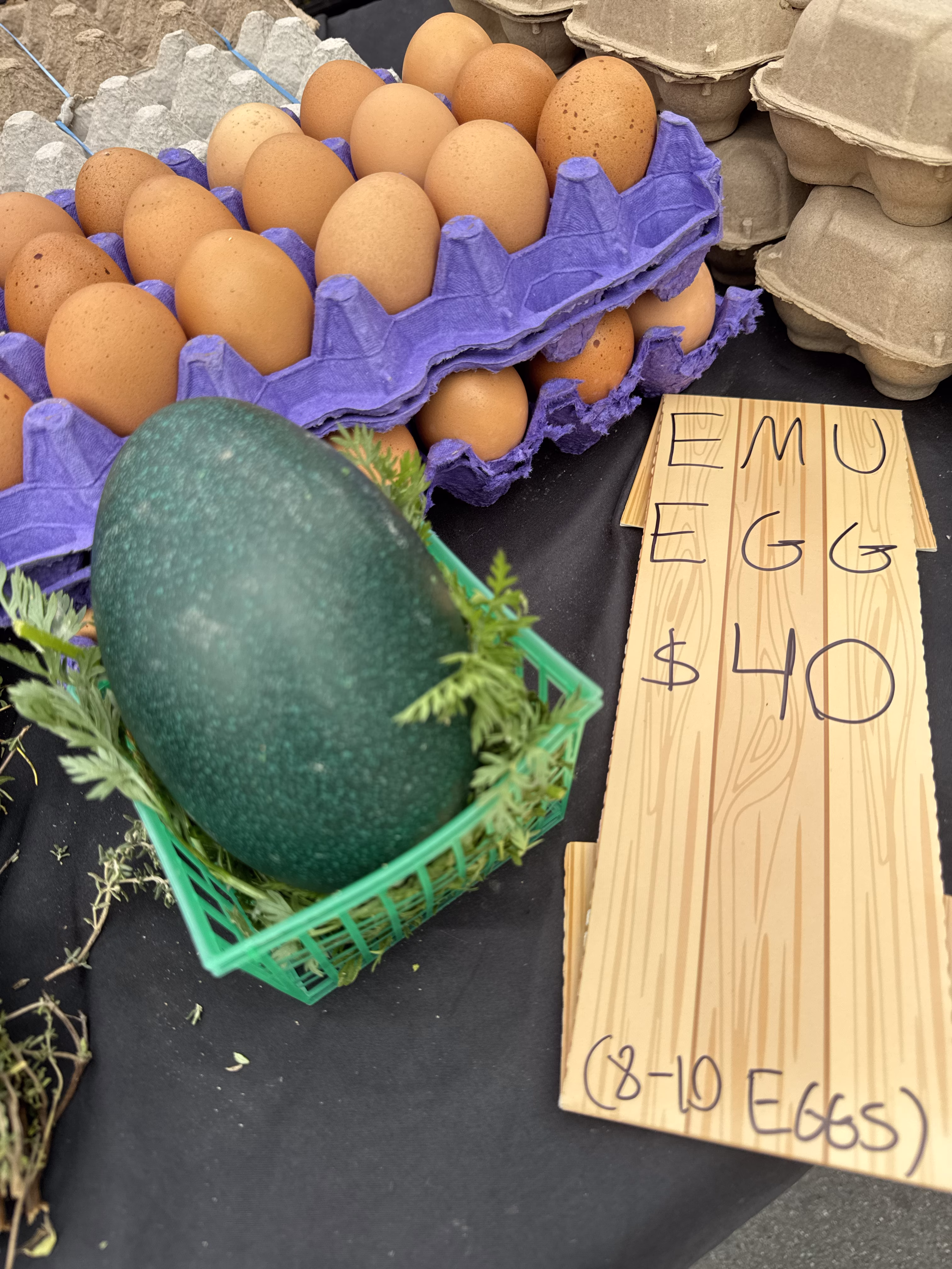 Emu egg