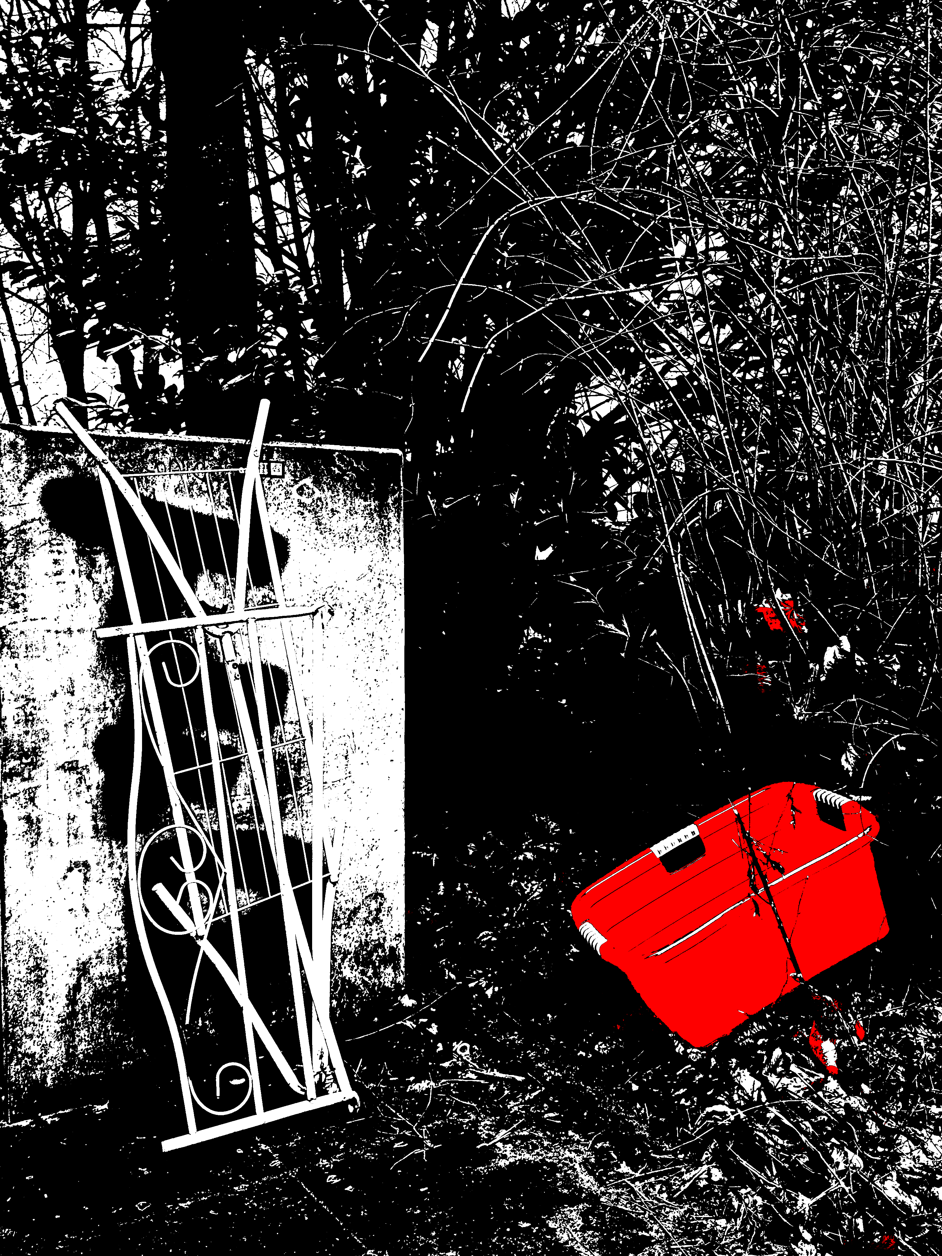 The Abandoned Laundry Basket