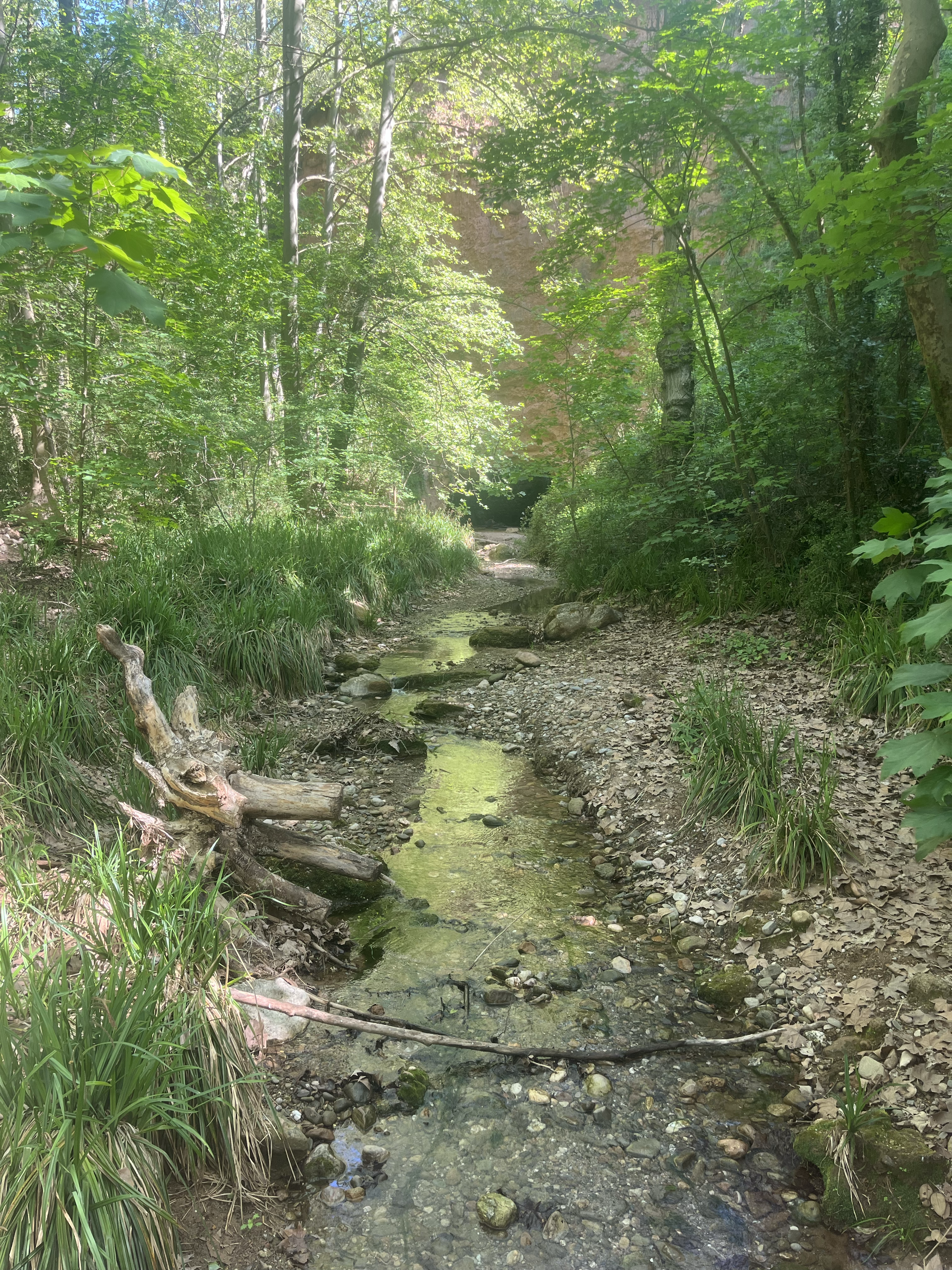 El torrent de Colobrers