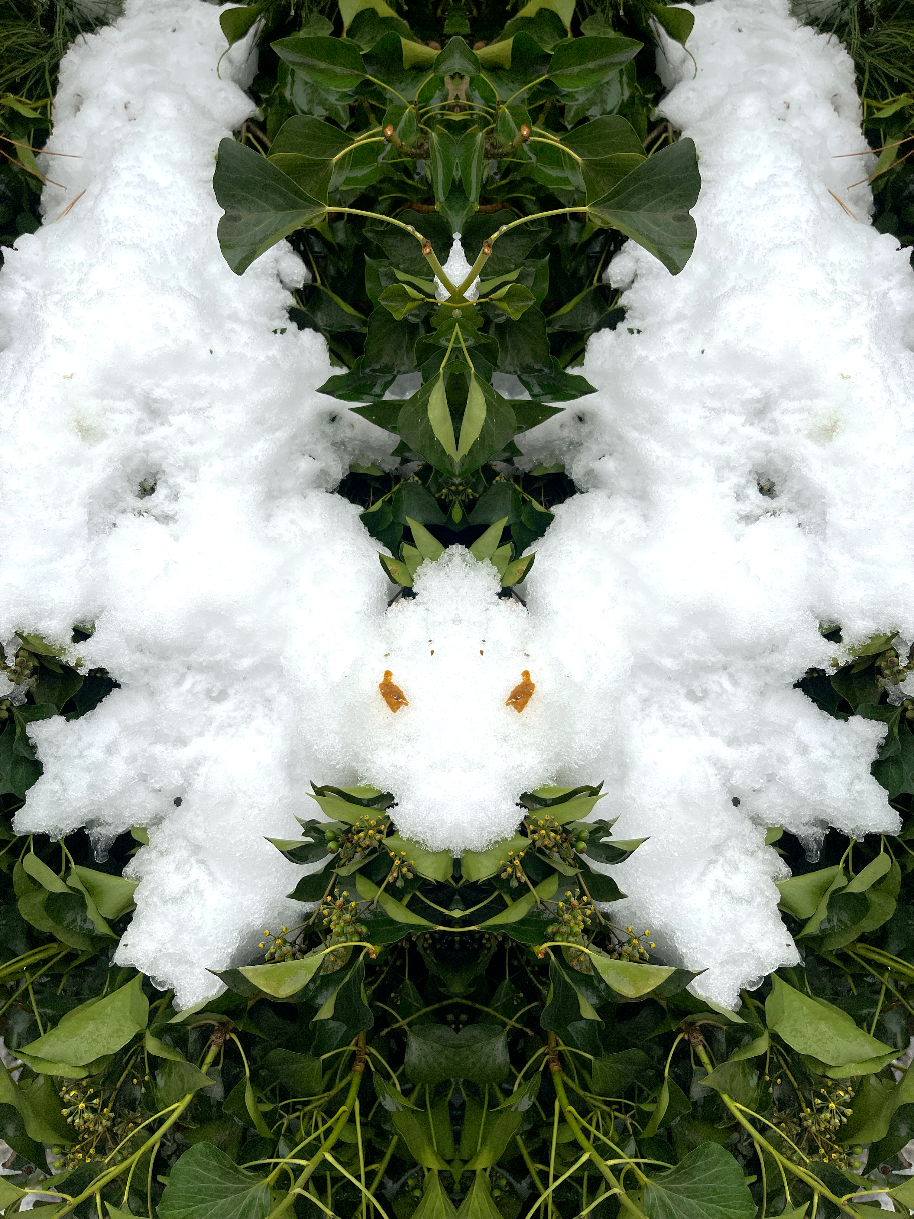 snow dragon