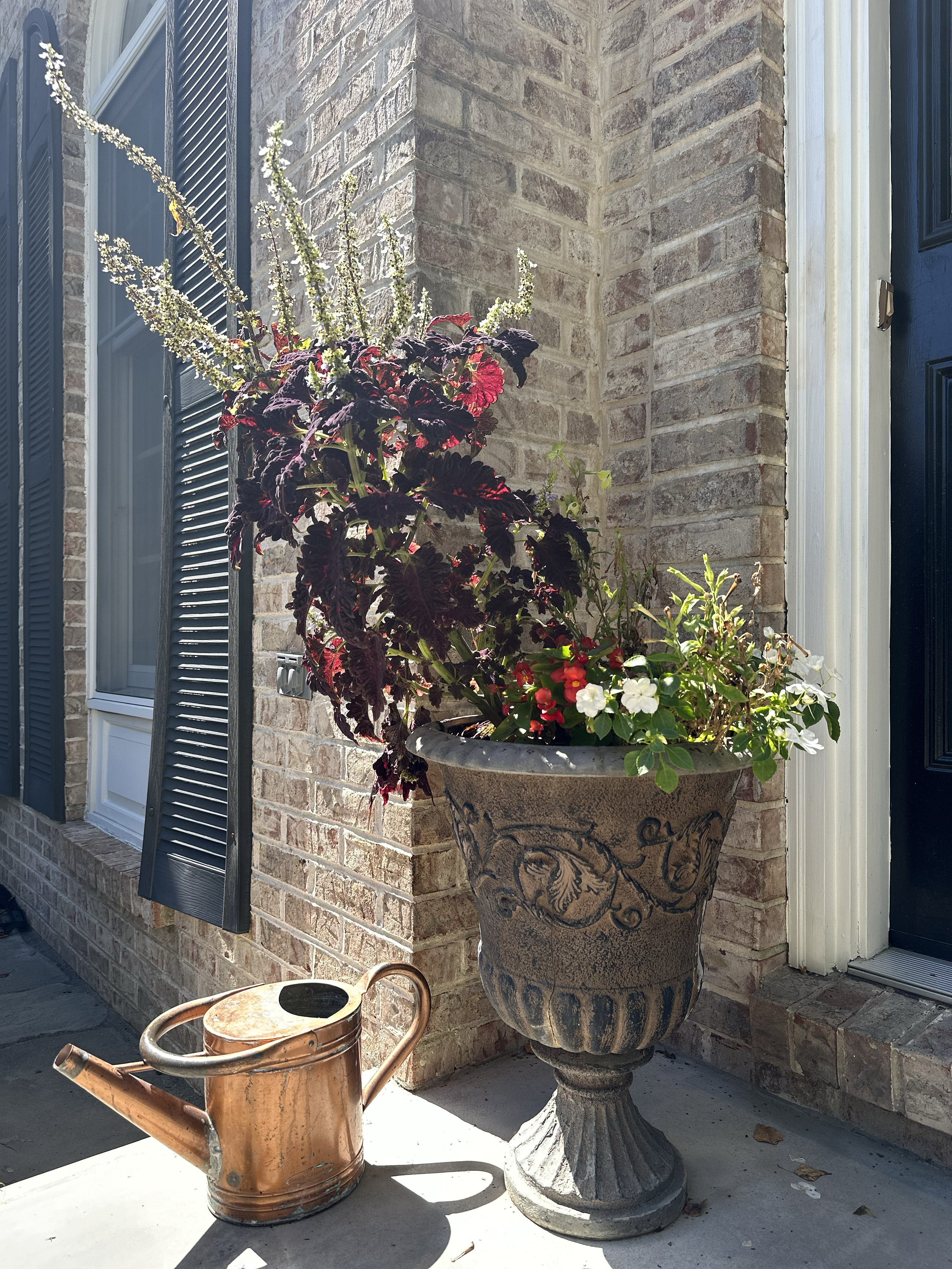 A Sunny Corner - Late Summer in Hockessin 