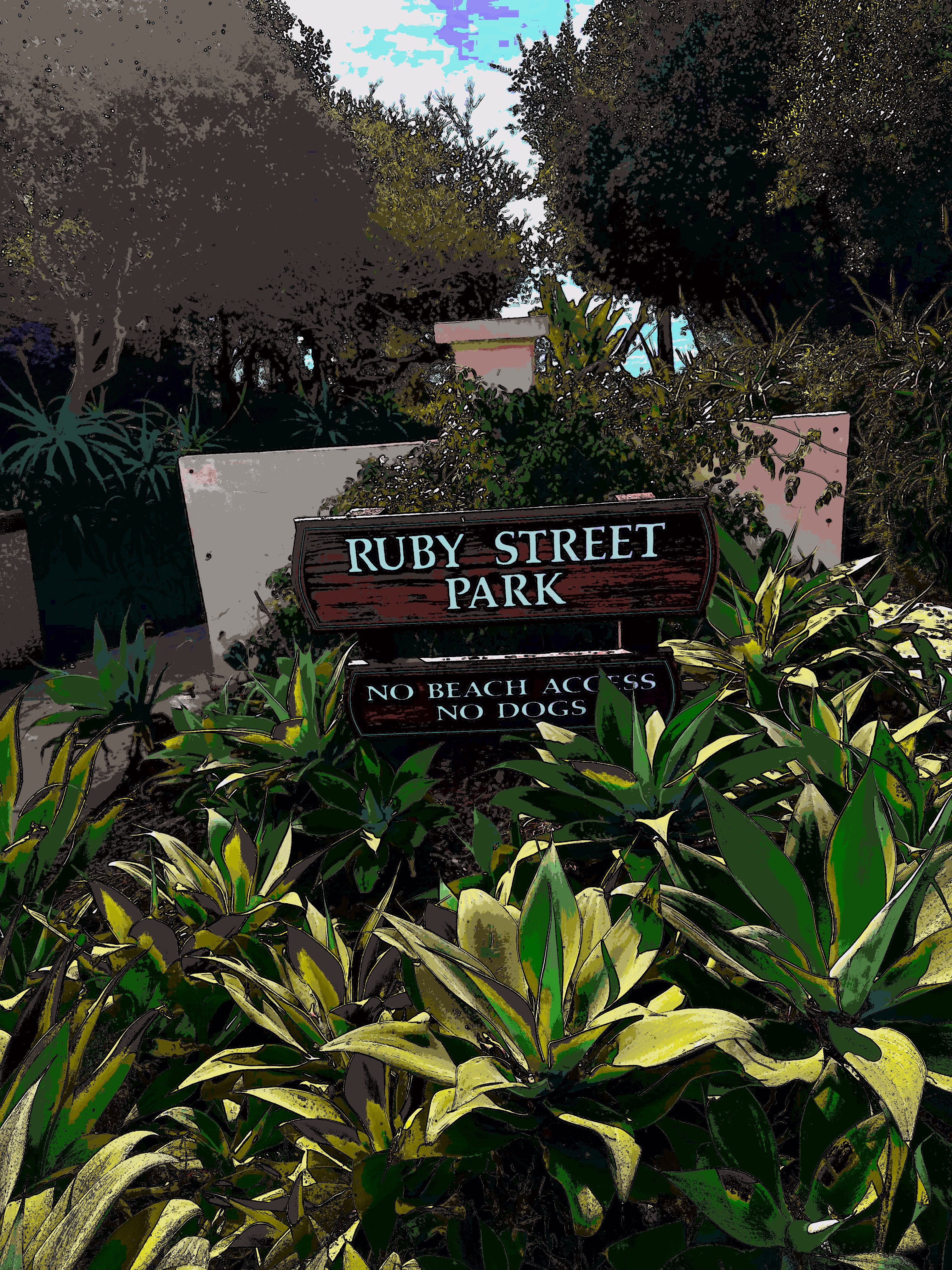 Ruby Street Park