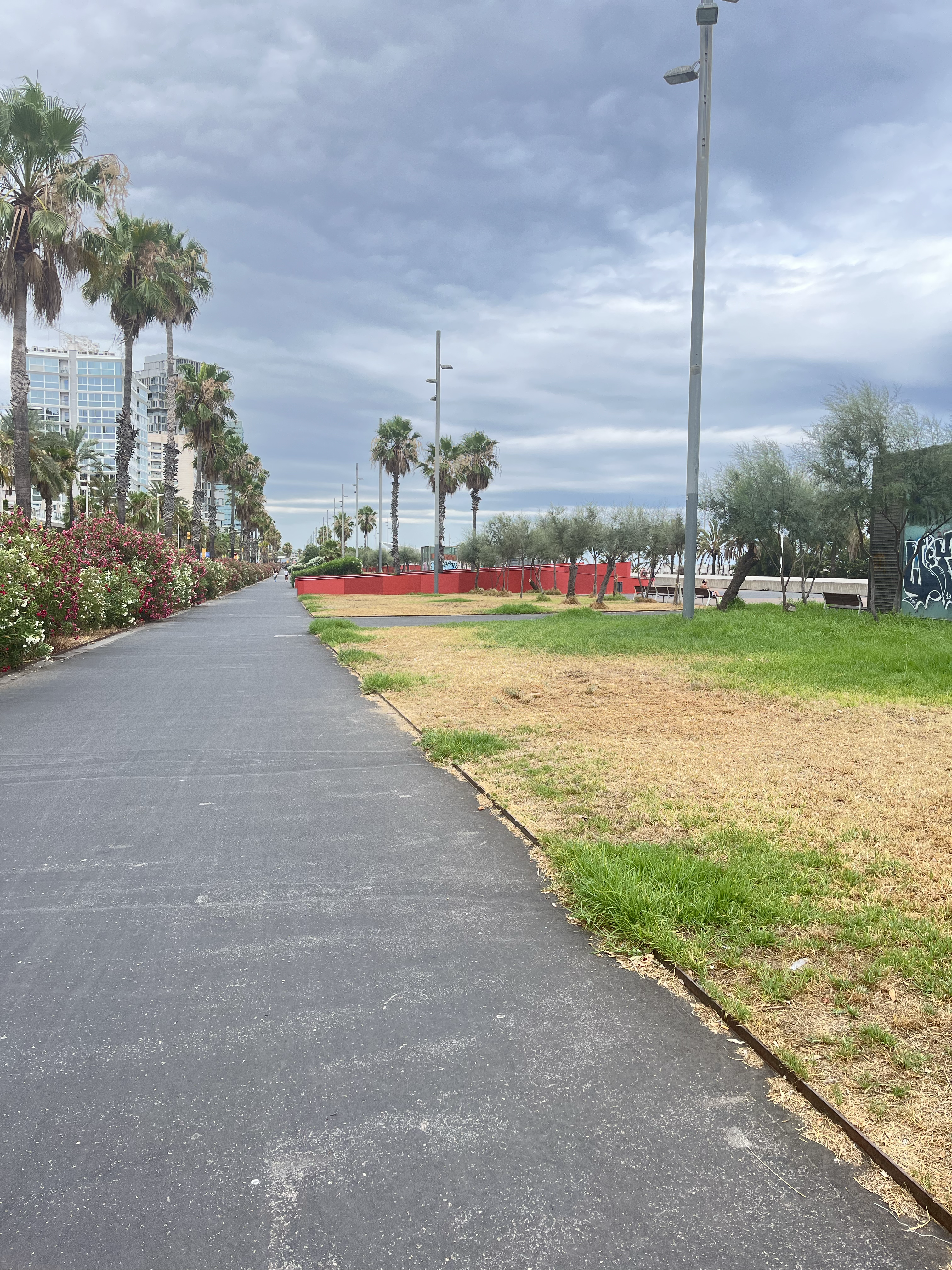 Why green dots all along?