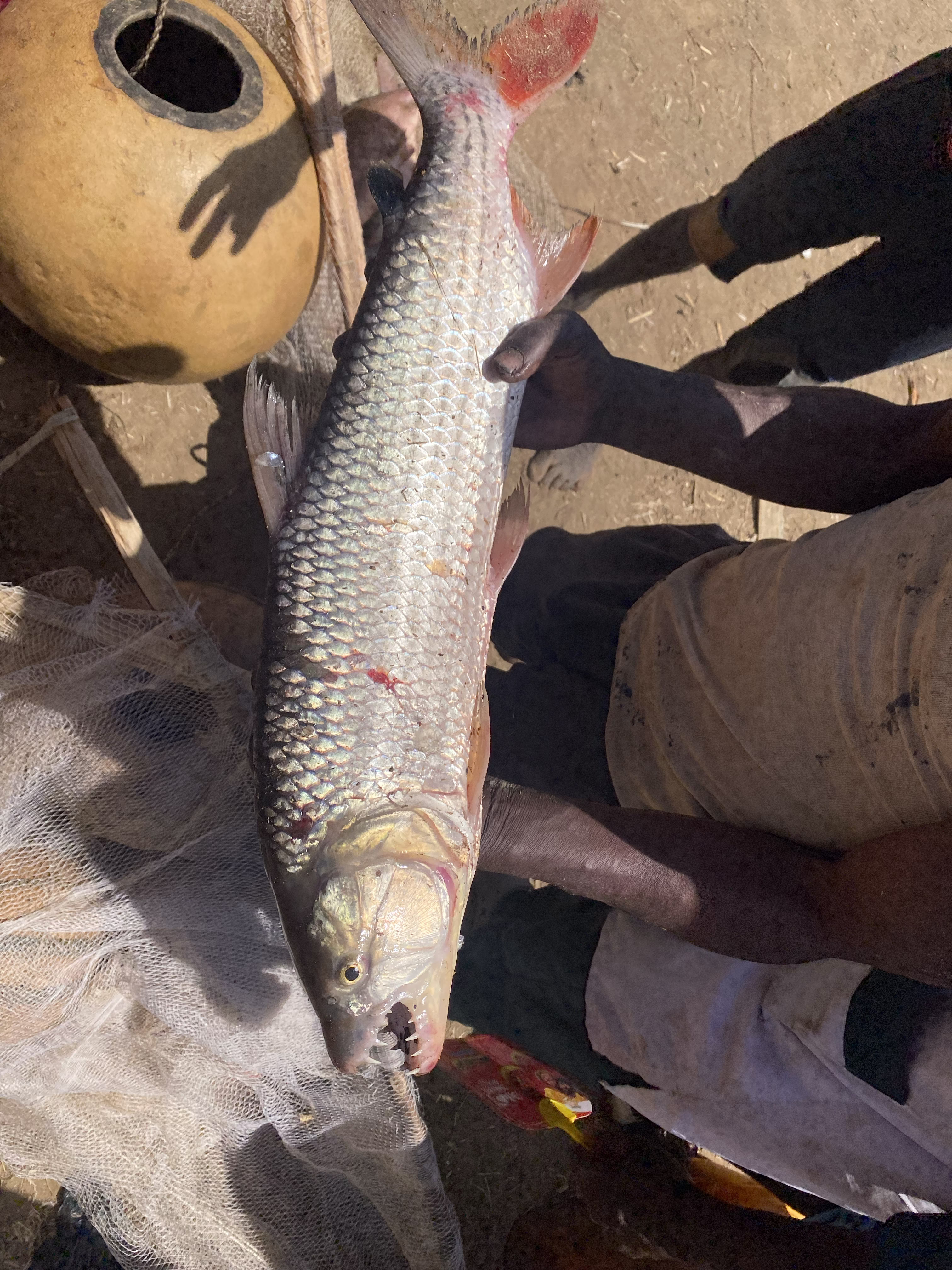 From the historic river