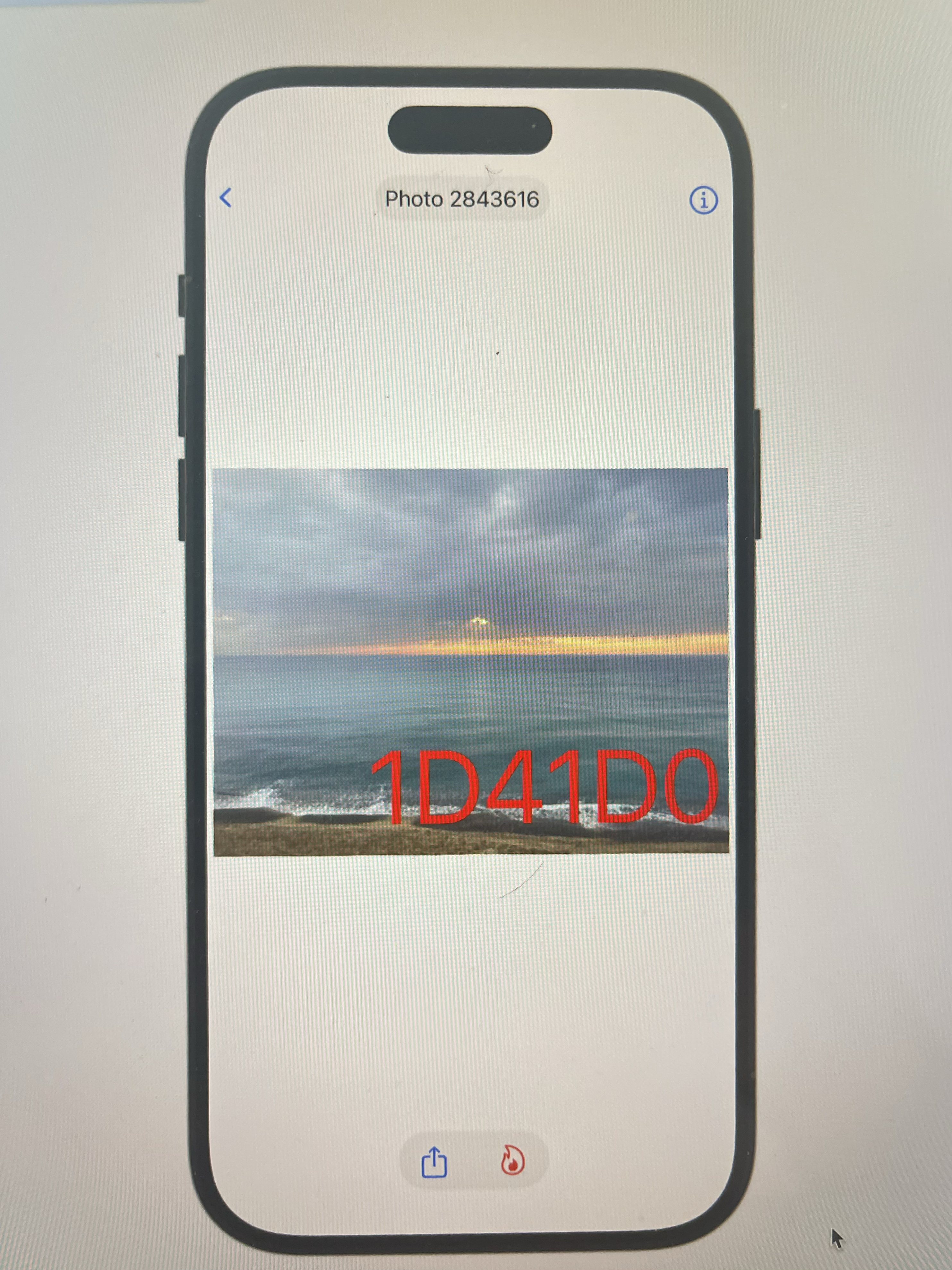 🔥 New Feature 🔥