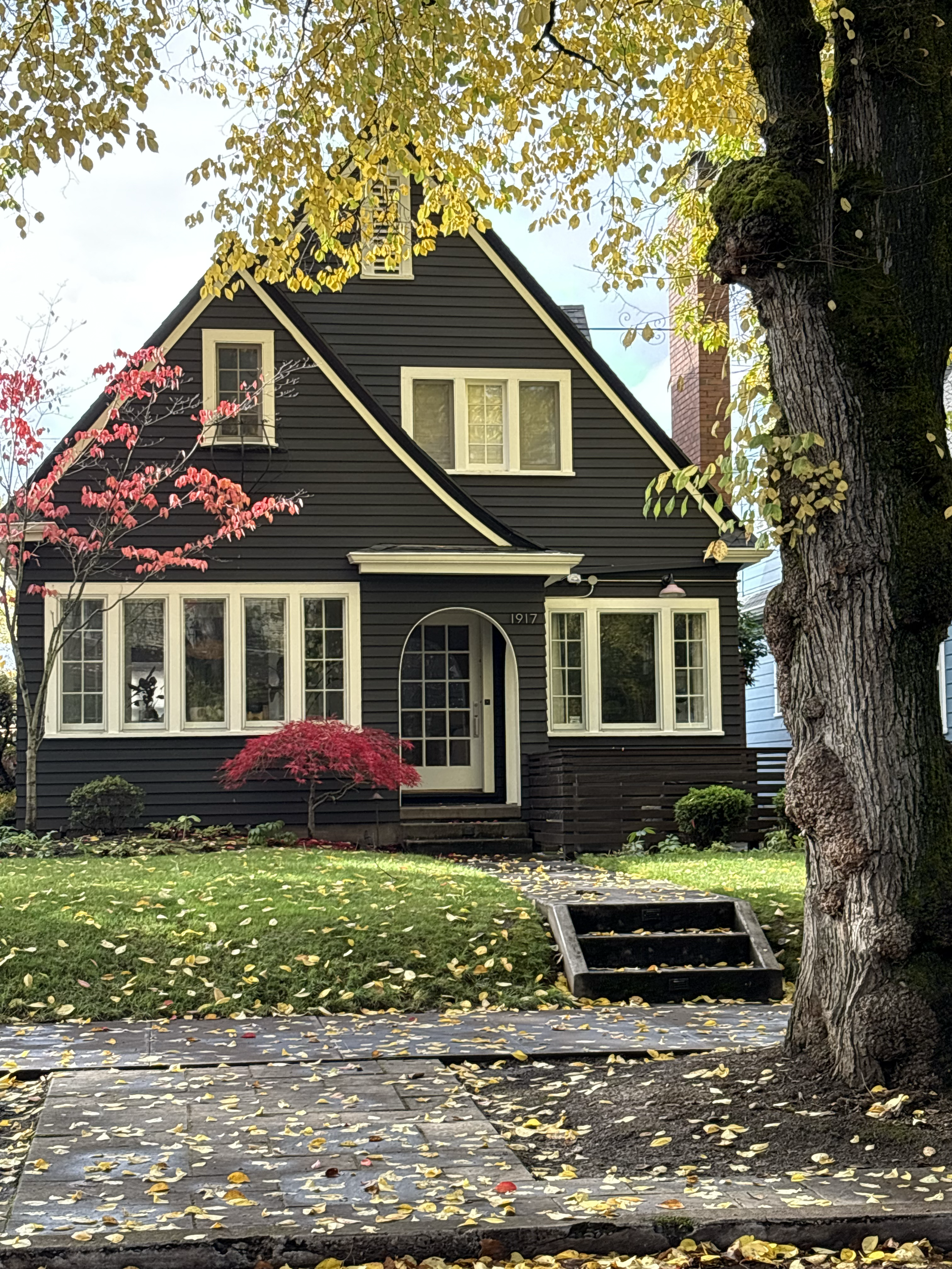 The quite quante life