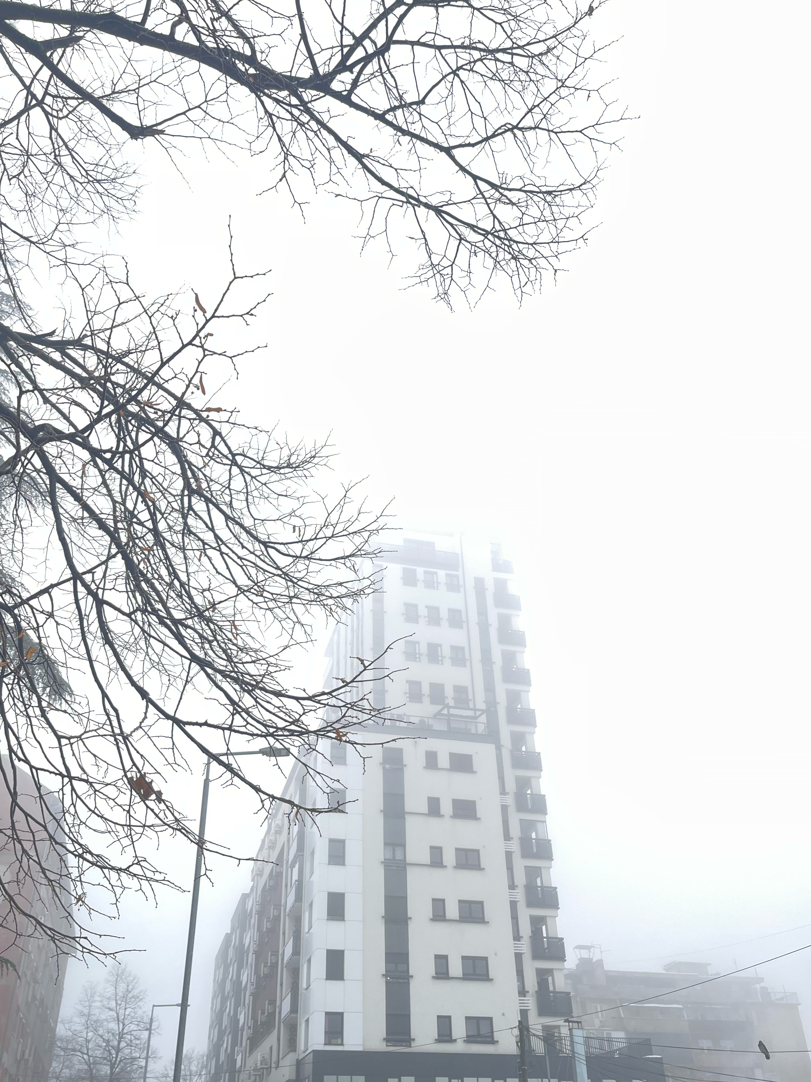 fog building 
