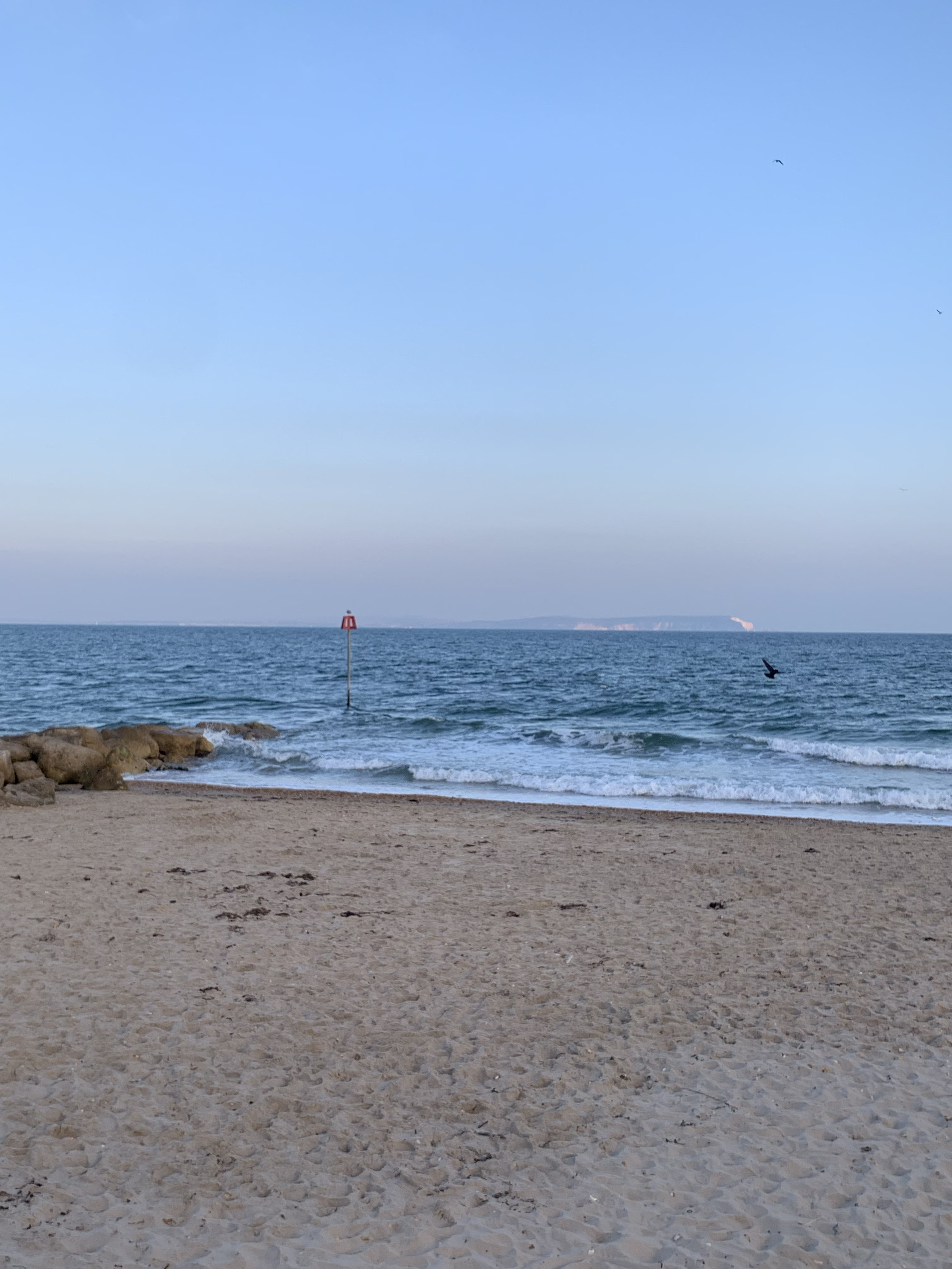 Sand, sea and sea birds 