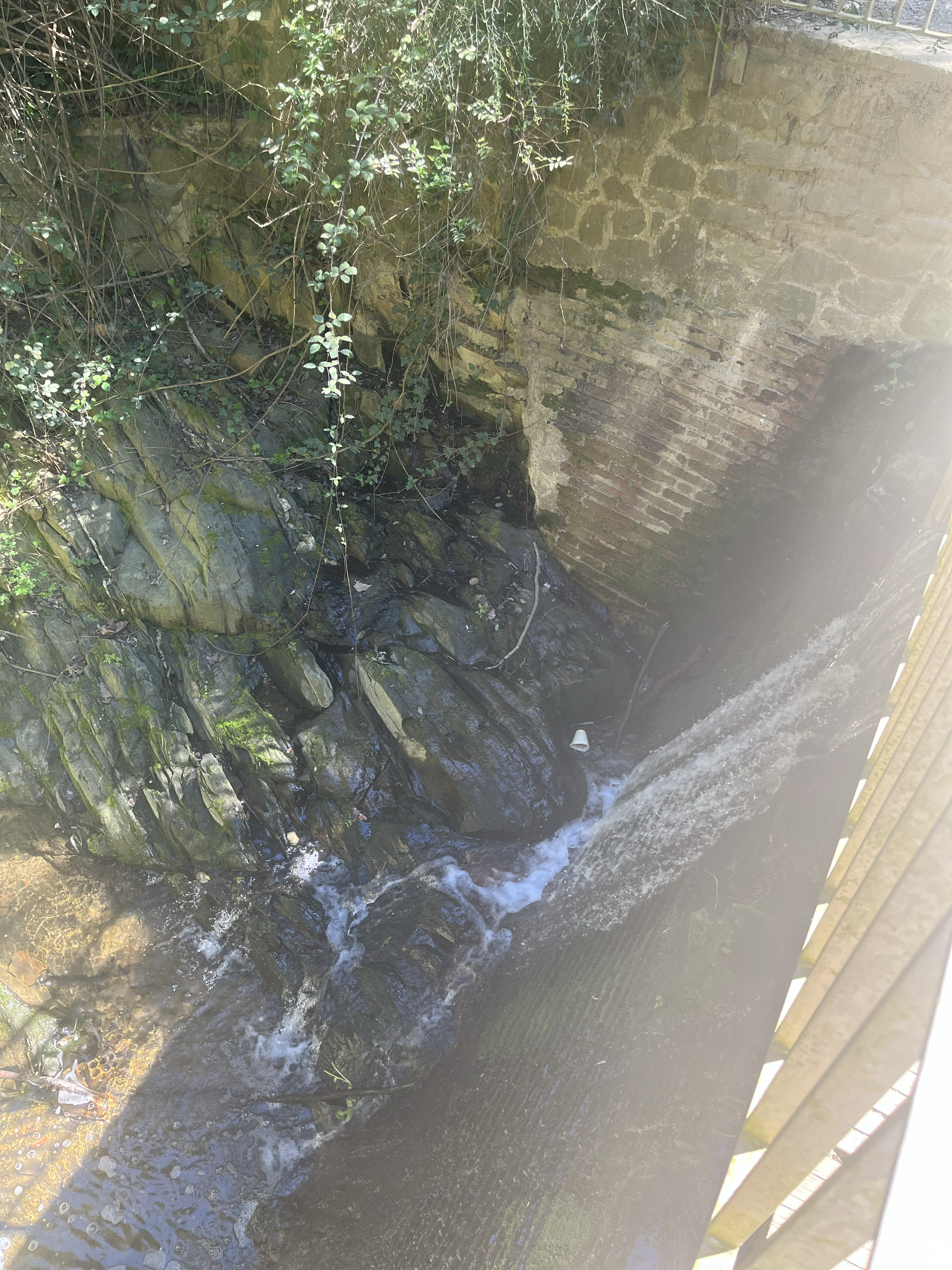 Forrest infrastructure 