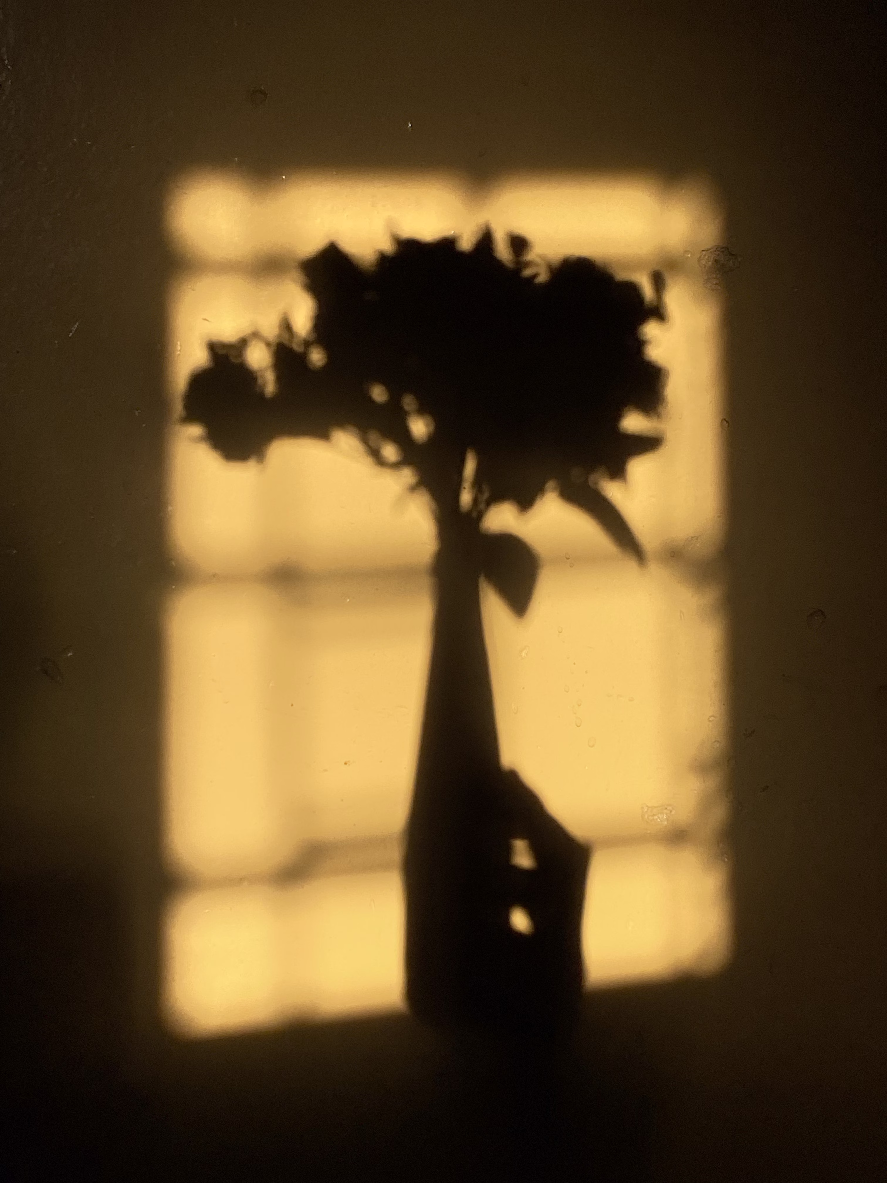 Don’t let me drown