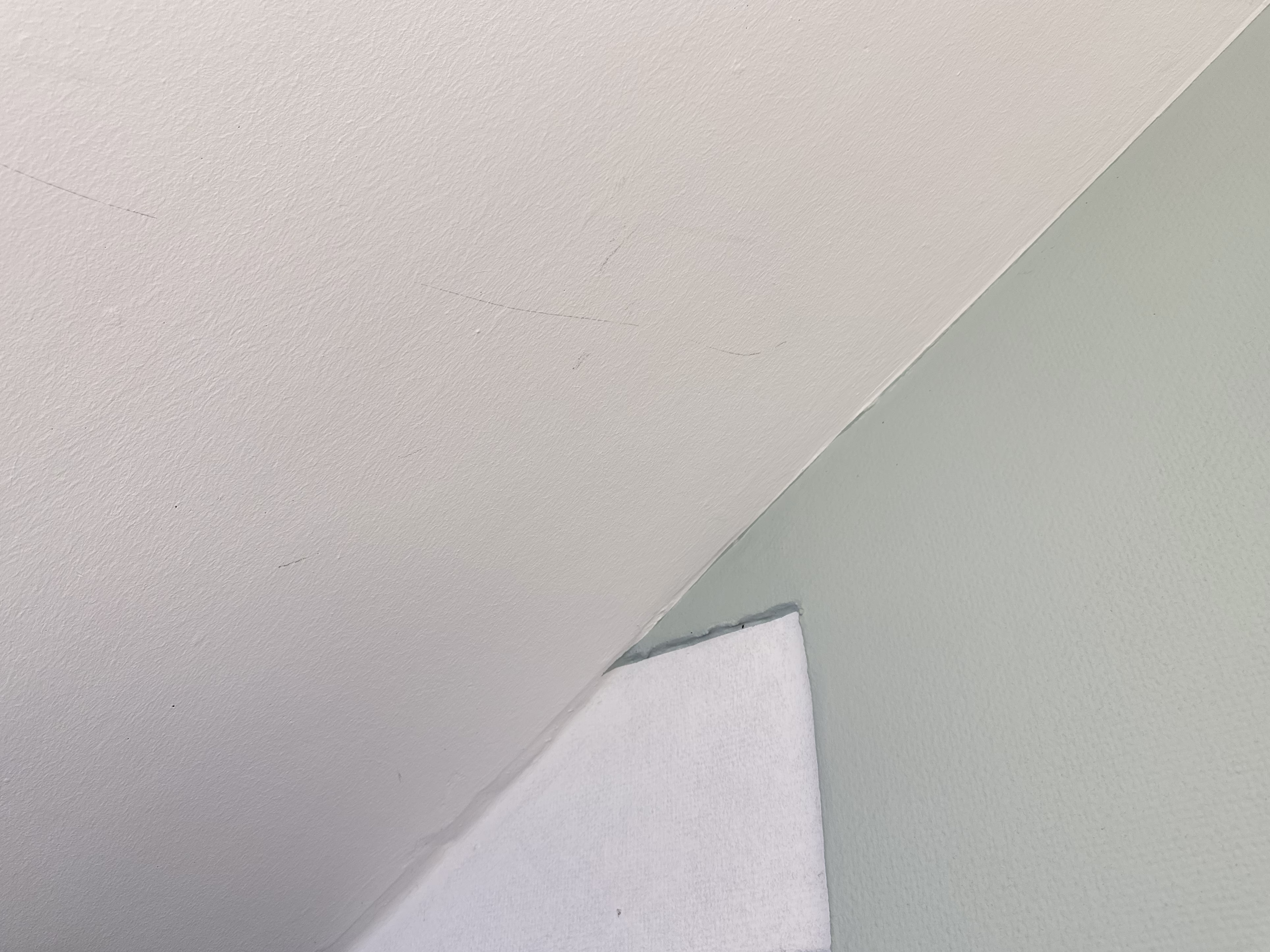 Mint In Your Head - Mint At Your Wall