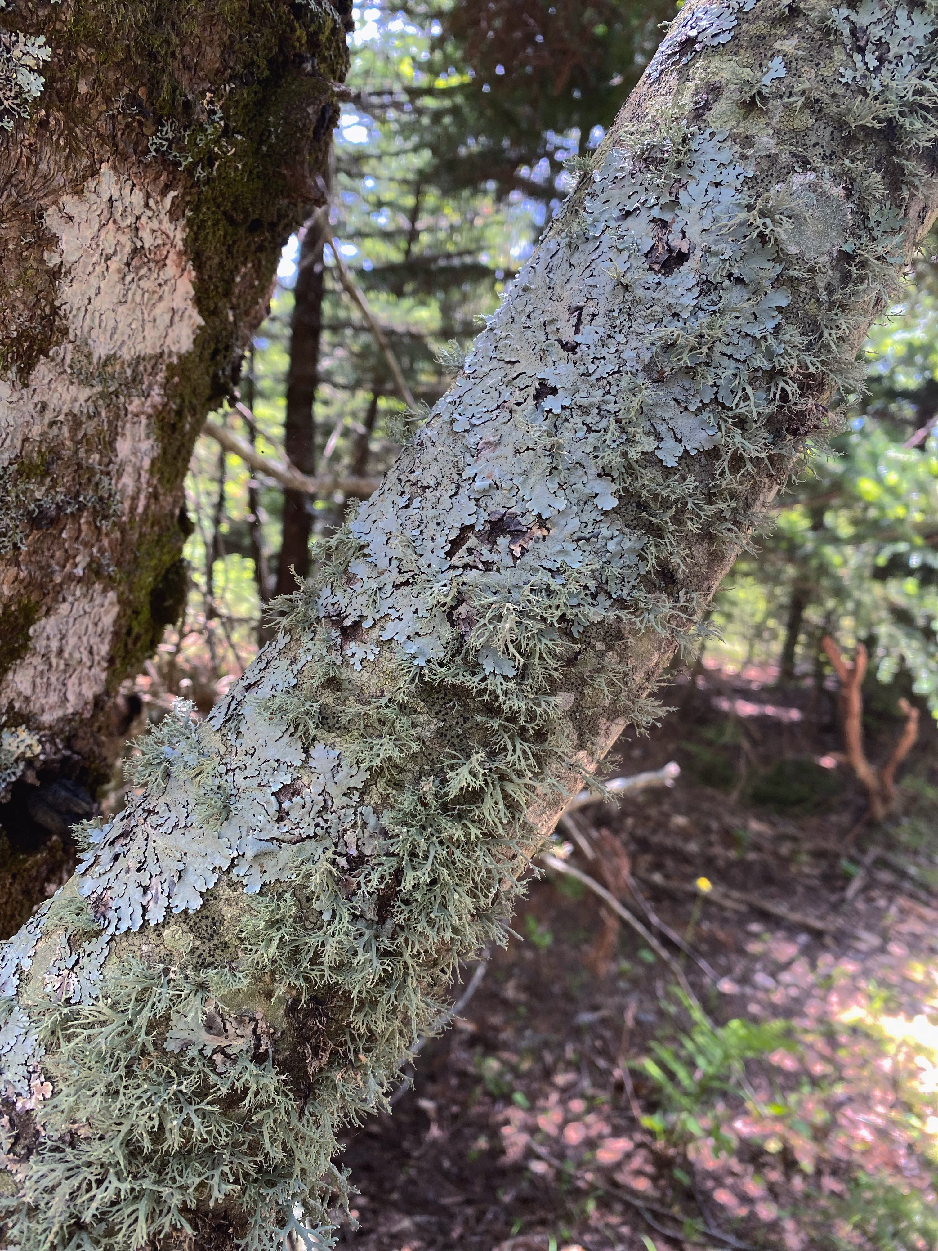 Photo 6509398