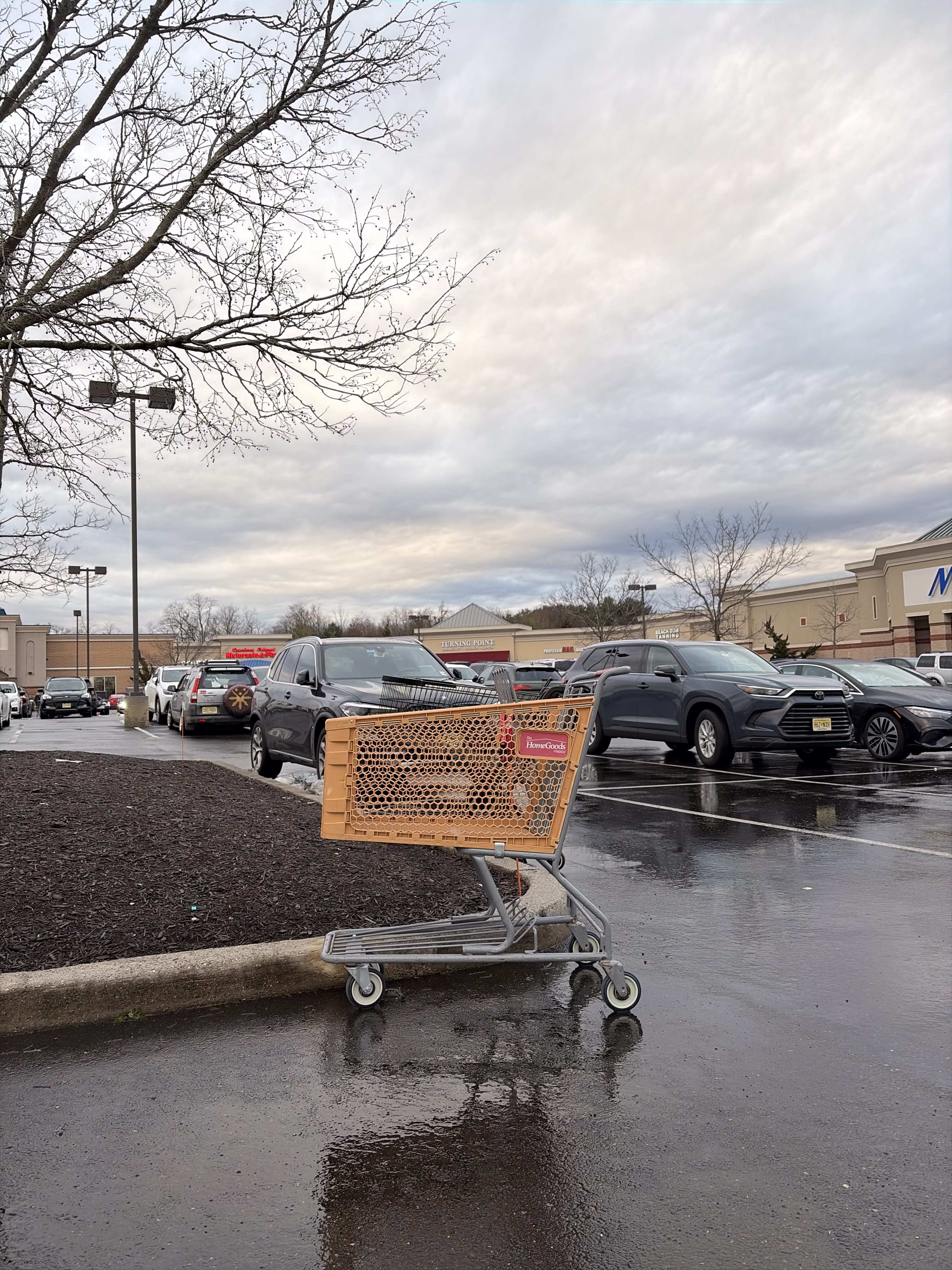 Why Are There so Many Carts?