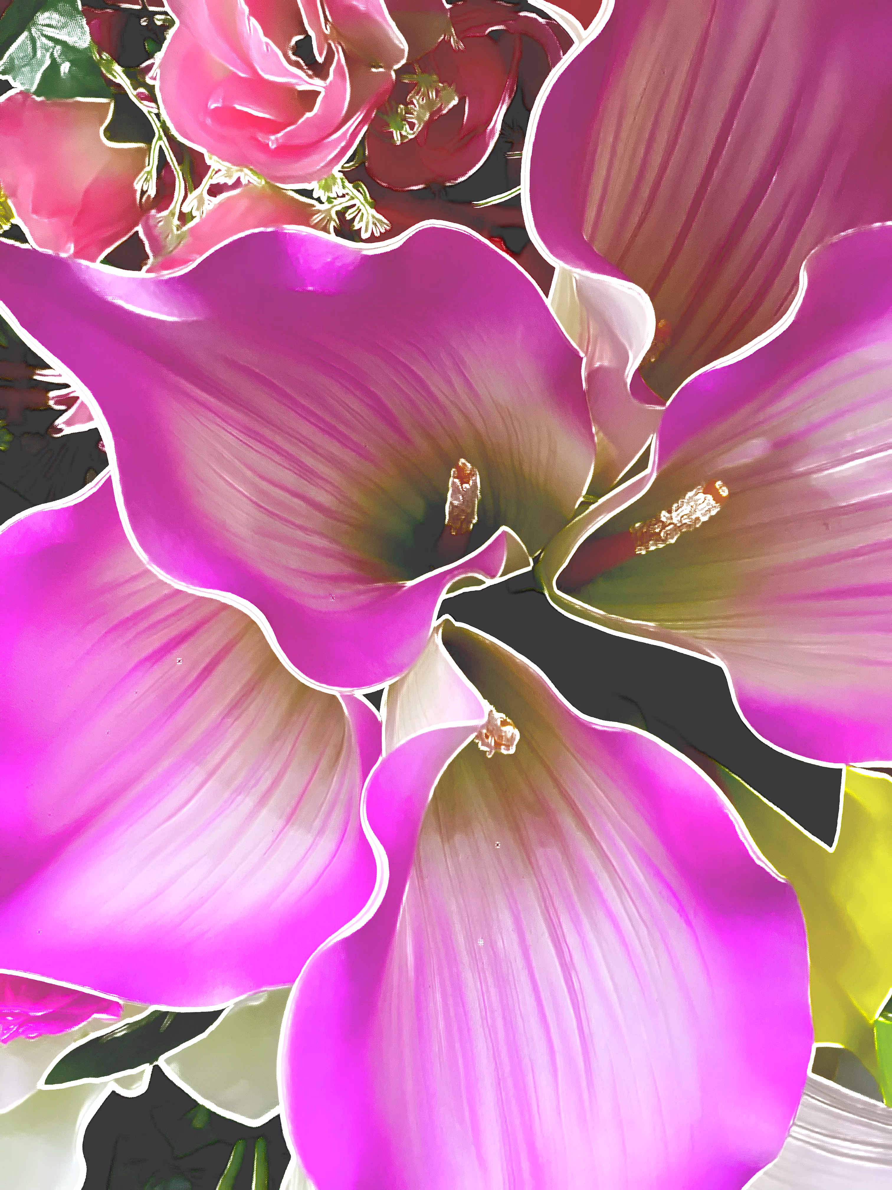 artificial flowers _ outlined