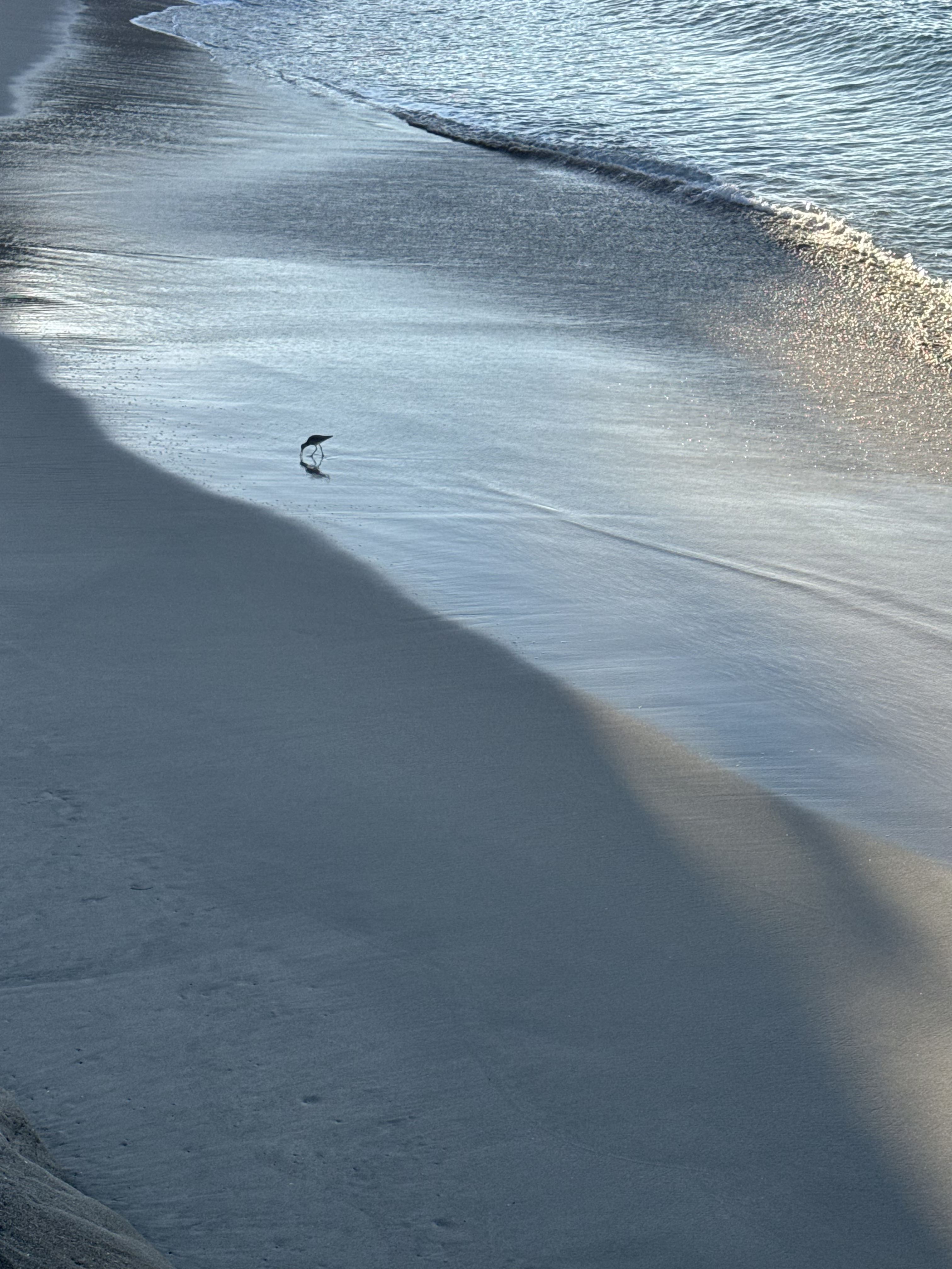 Morning at Wood’s Cove