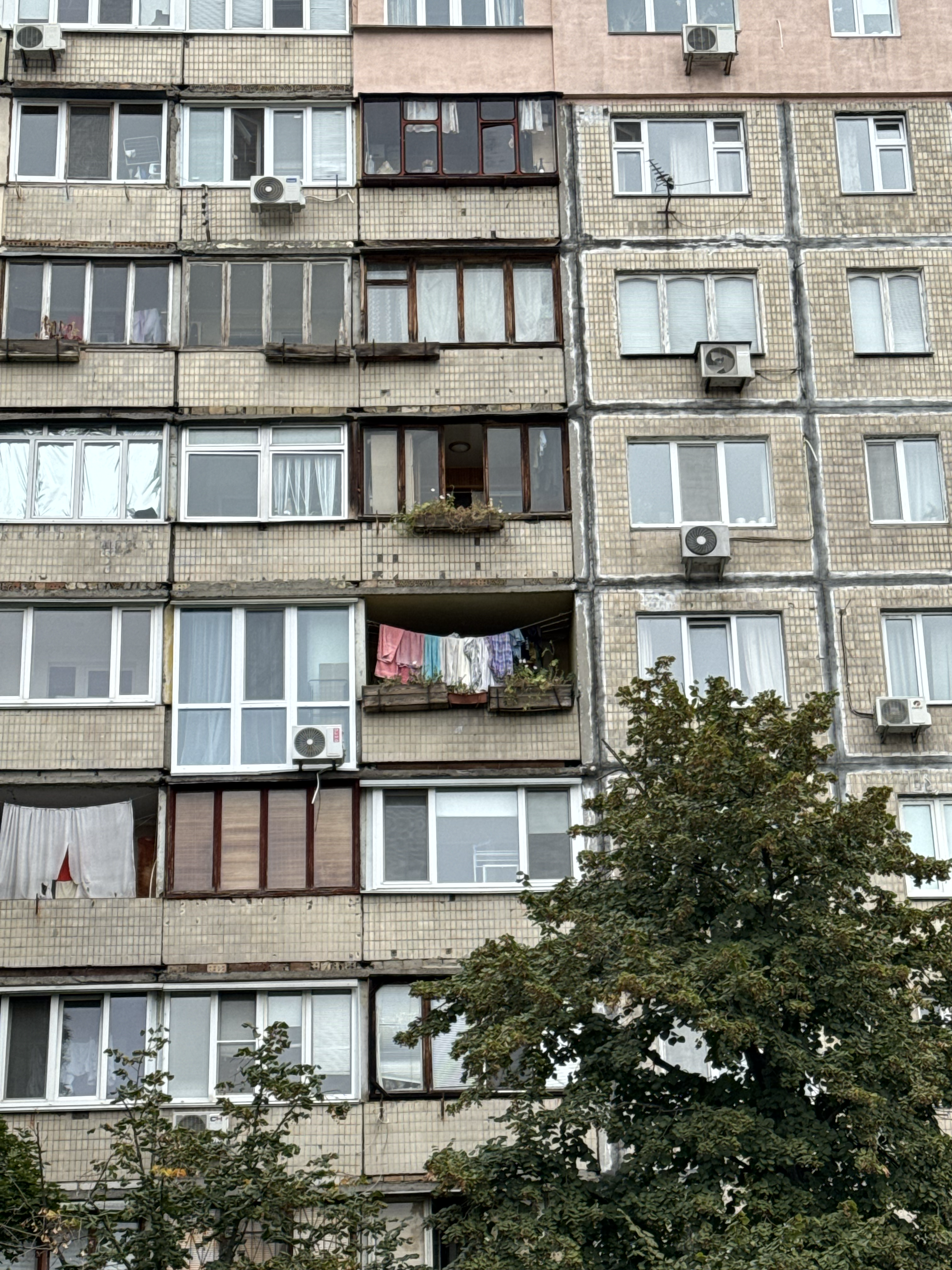 Birdhouse for humans