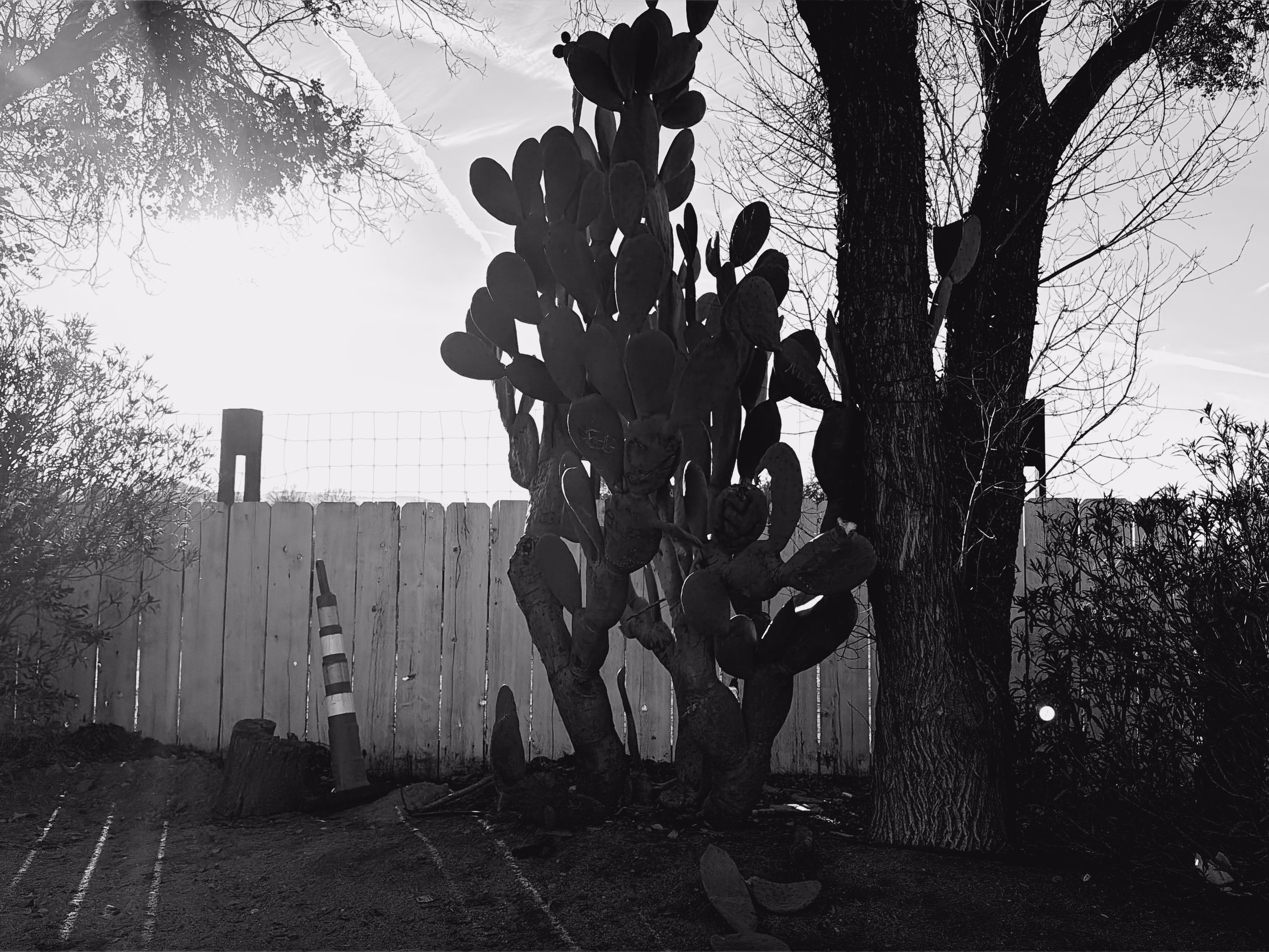 Reflections of a Better Day