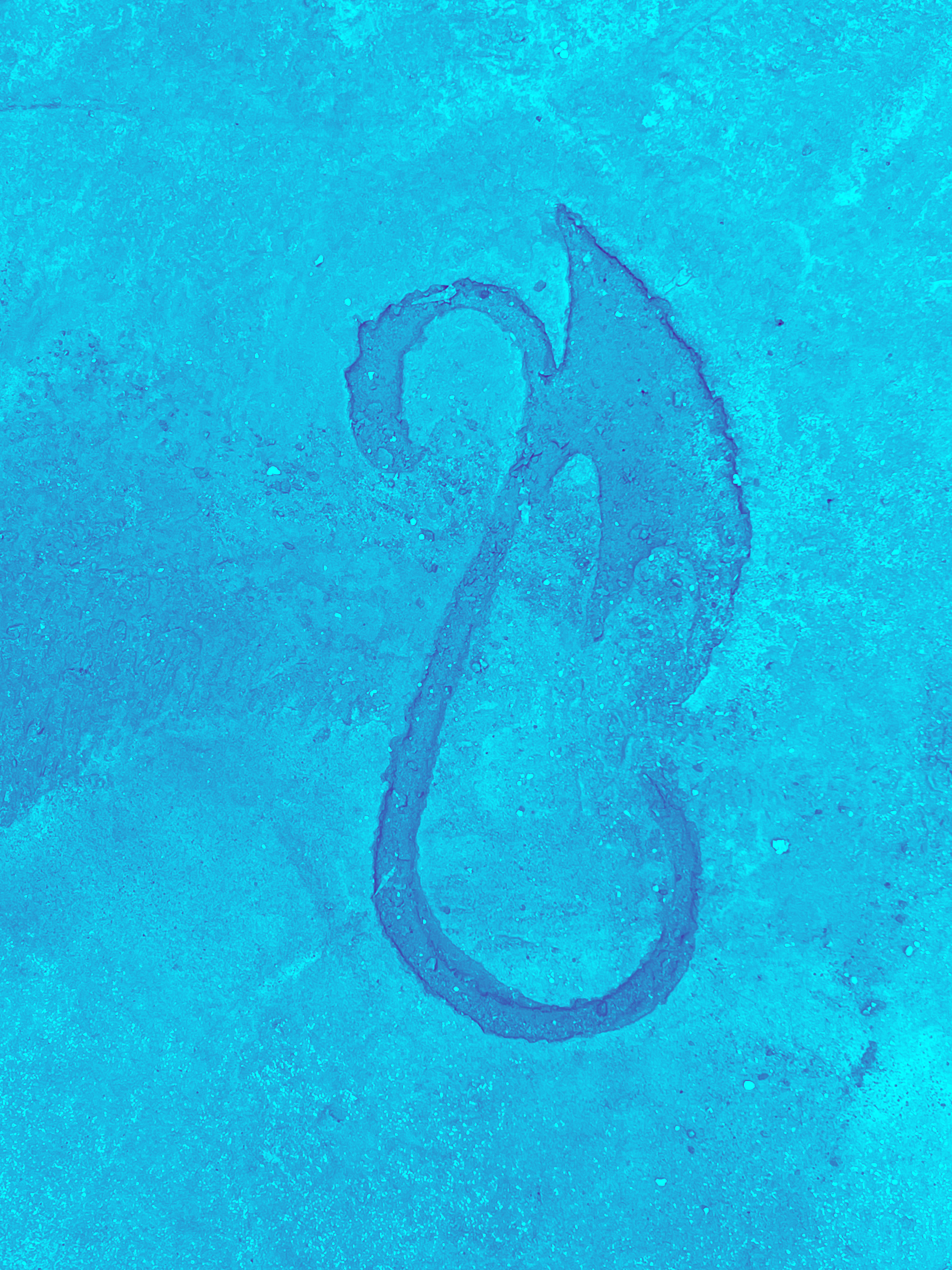 concrete deep blue dragon