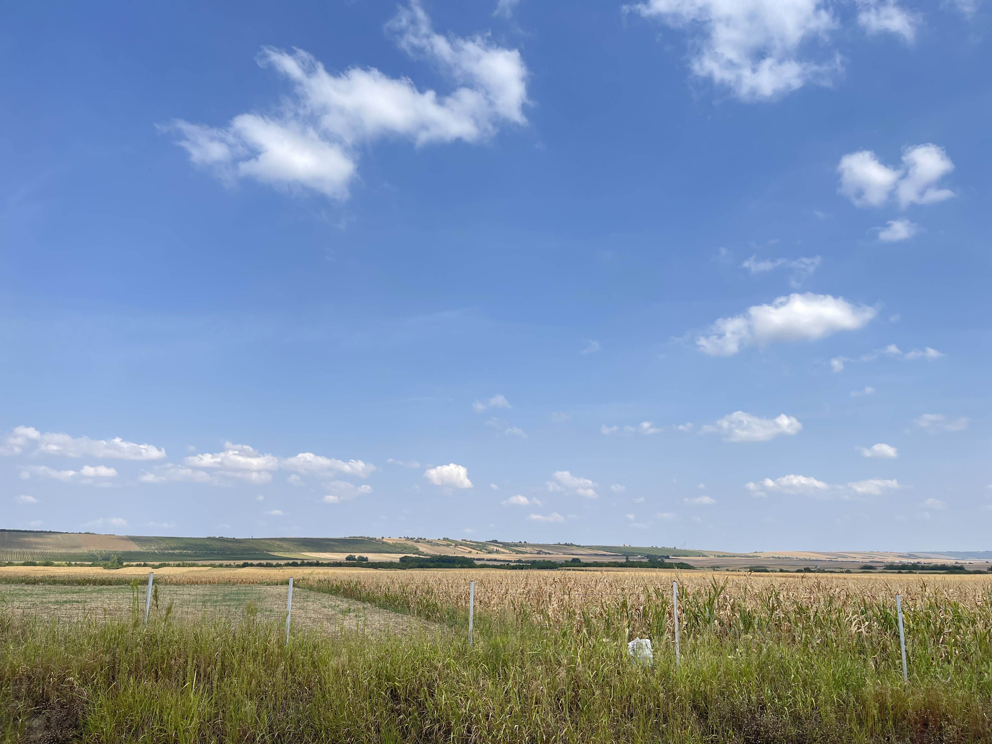 arrived @ train station 