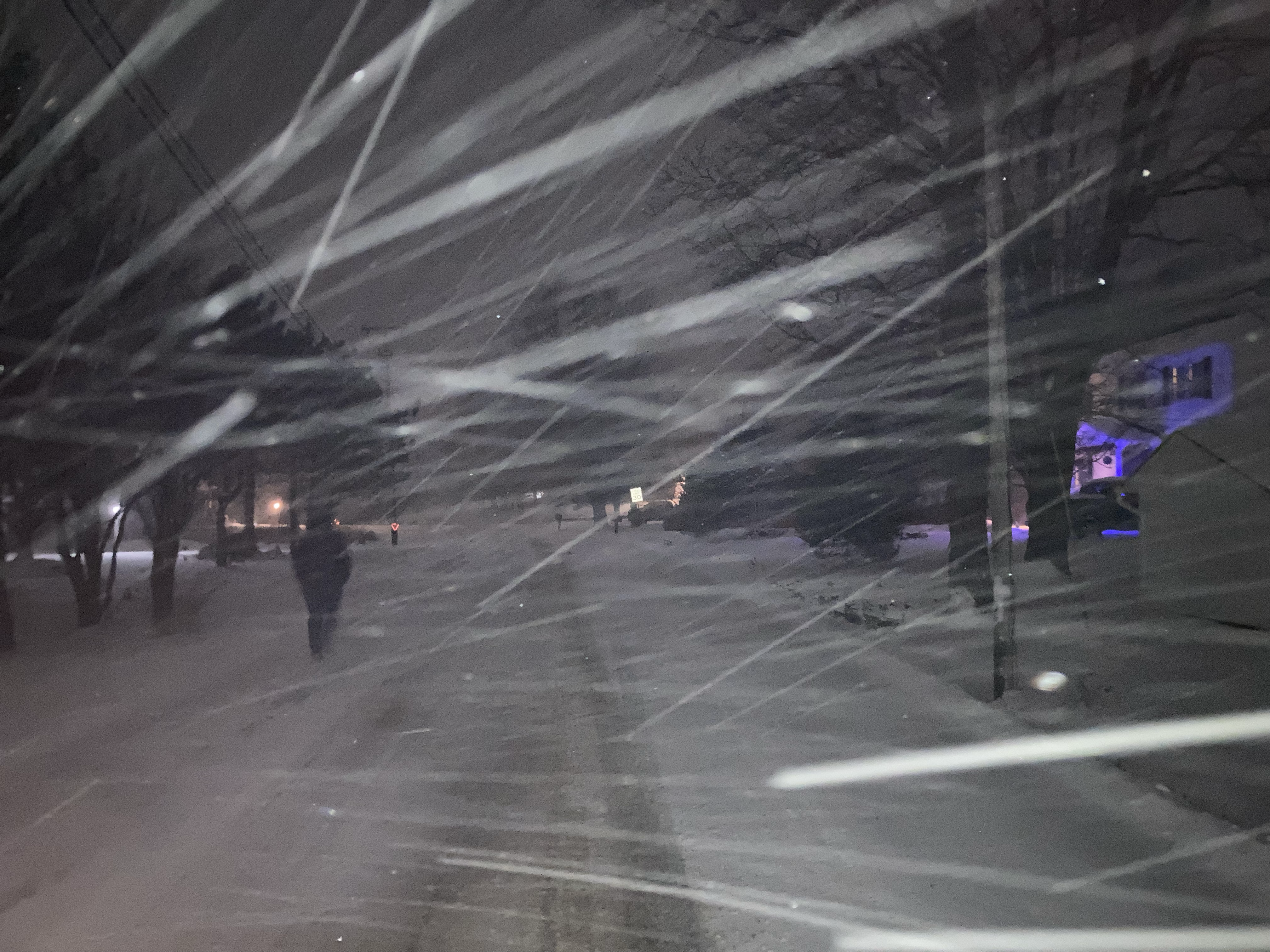 from an adventure in the snow