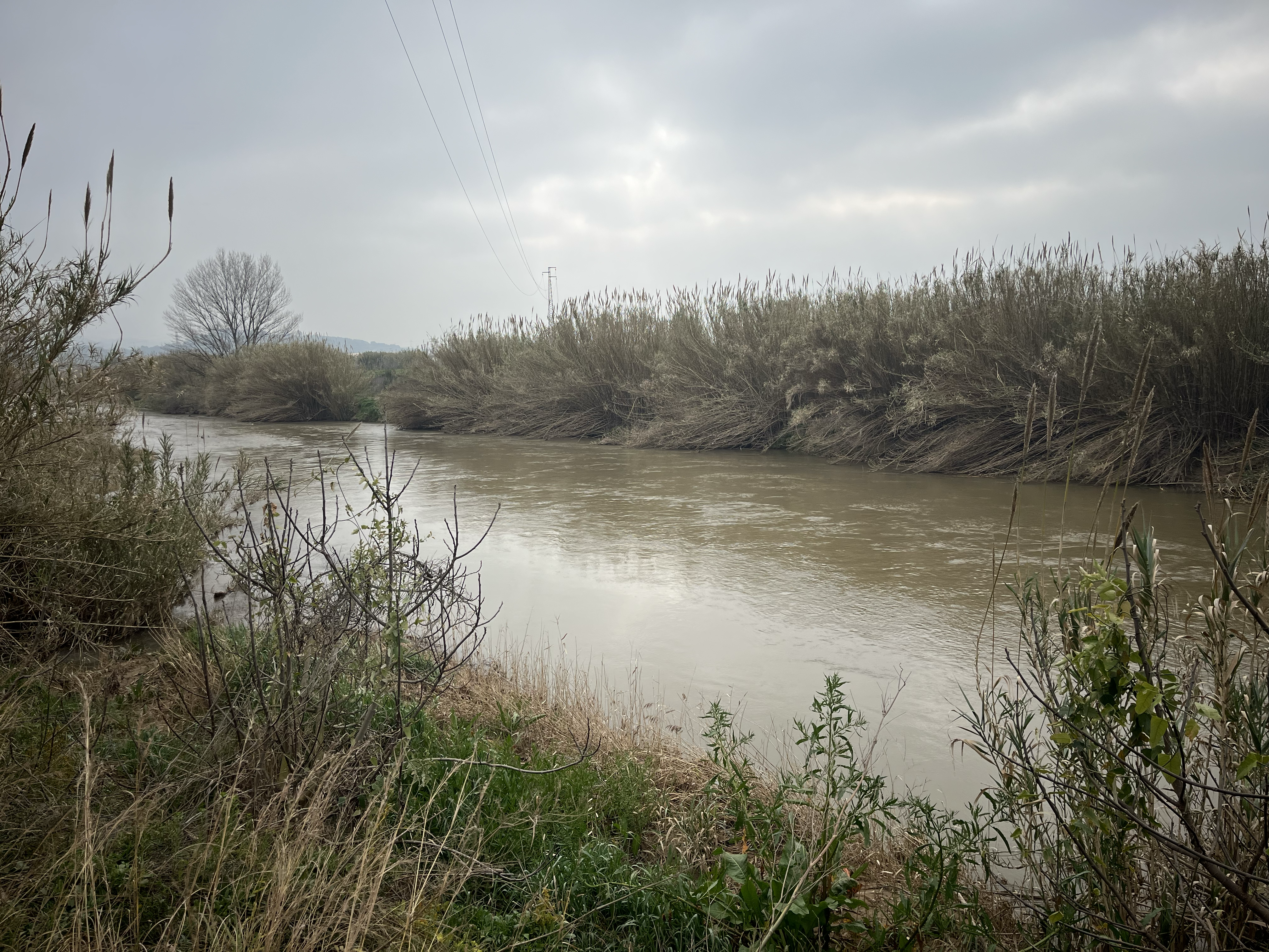 Llobregat early spring