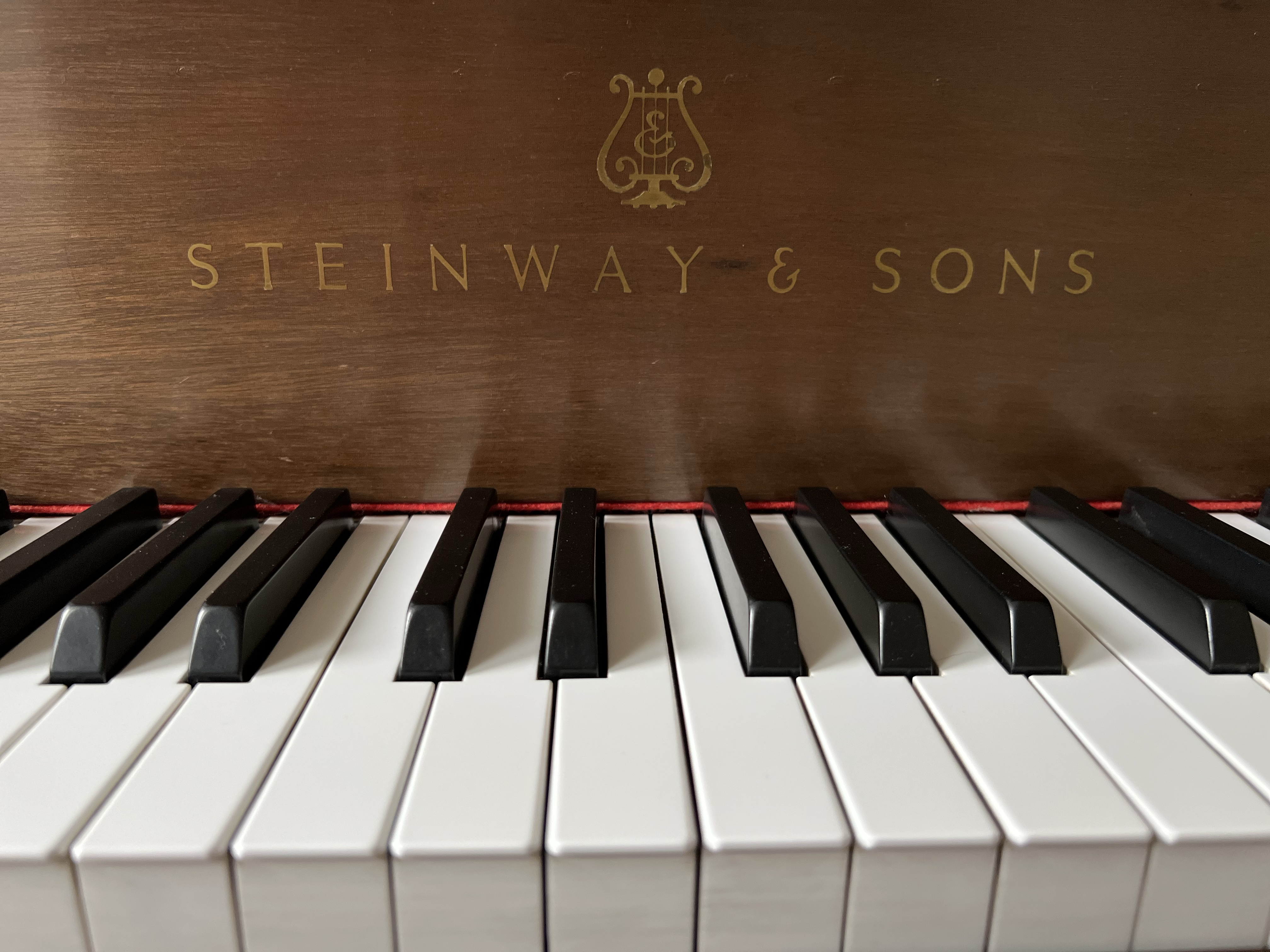 Grand Piano Keys