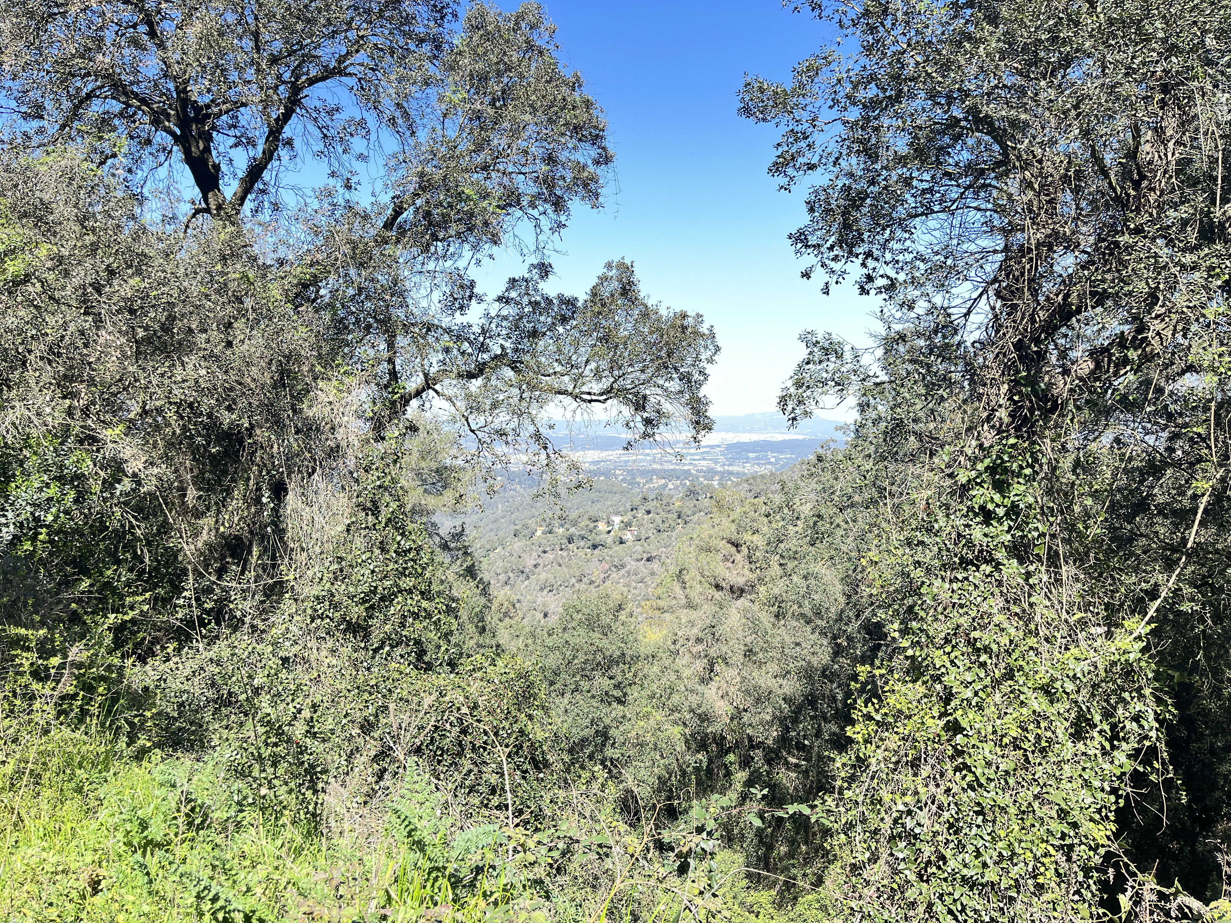 Almost at the summit