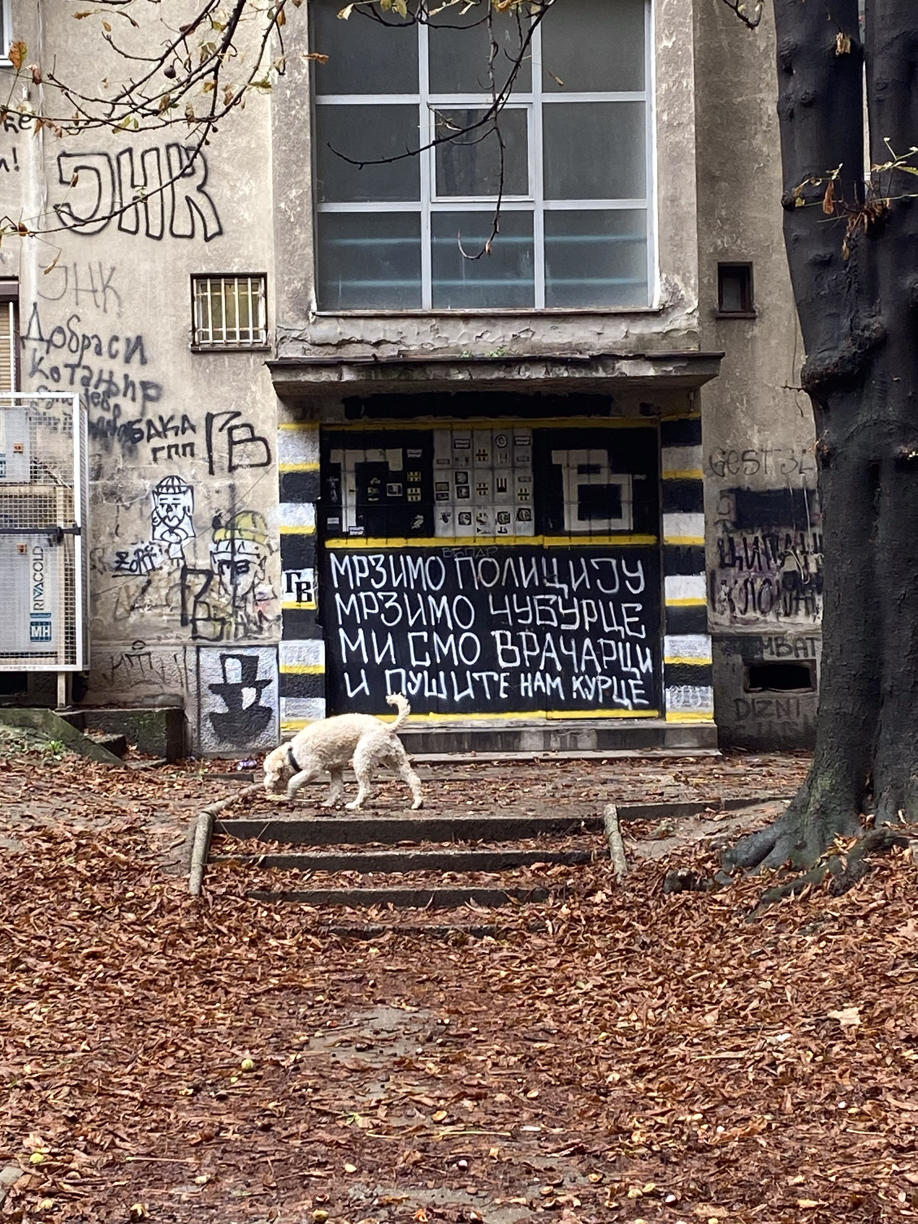 Concrete, graffiti, and one happy soul.