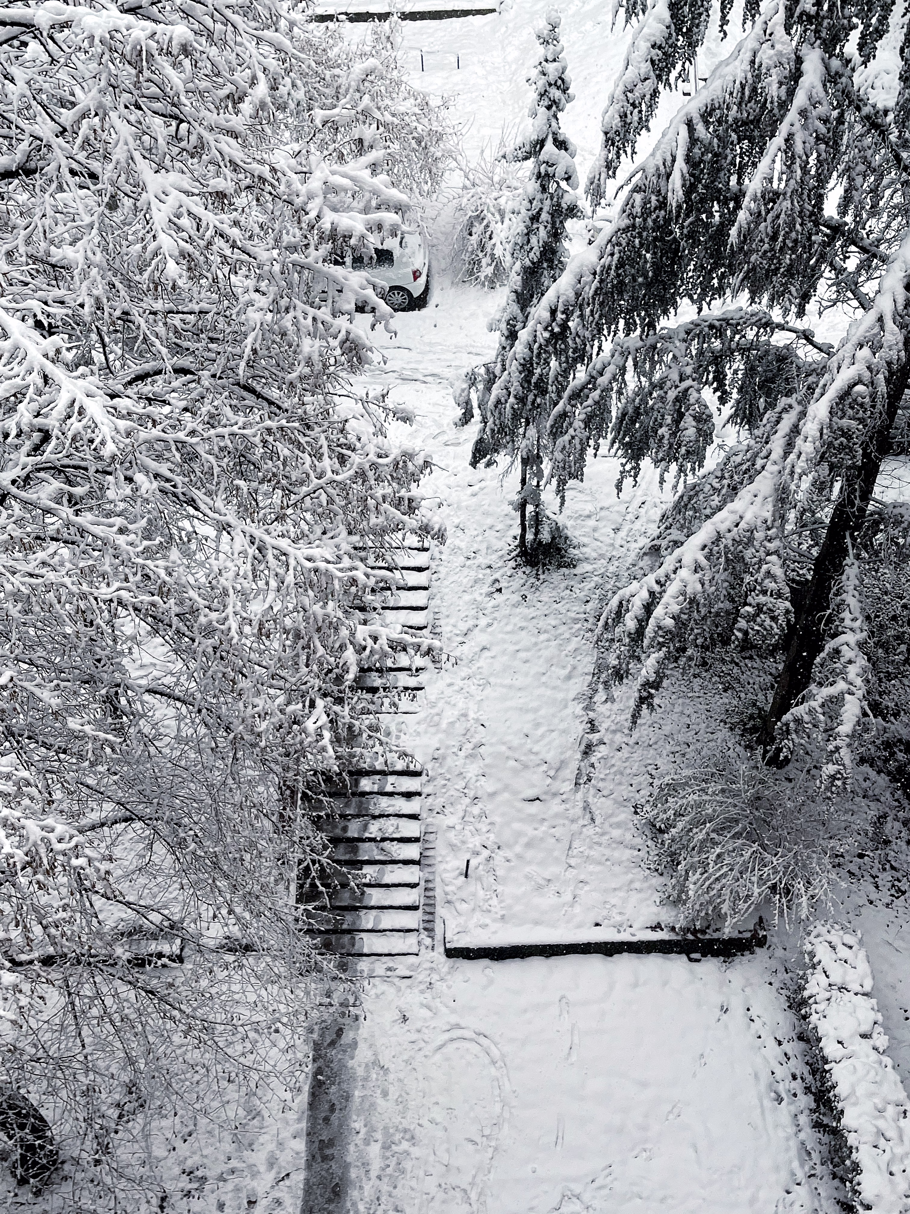 snow pathway 
