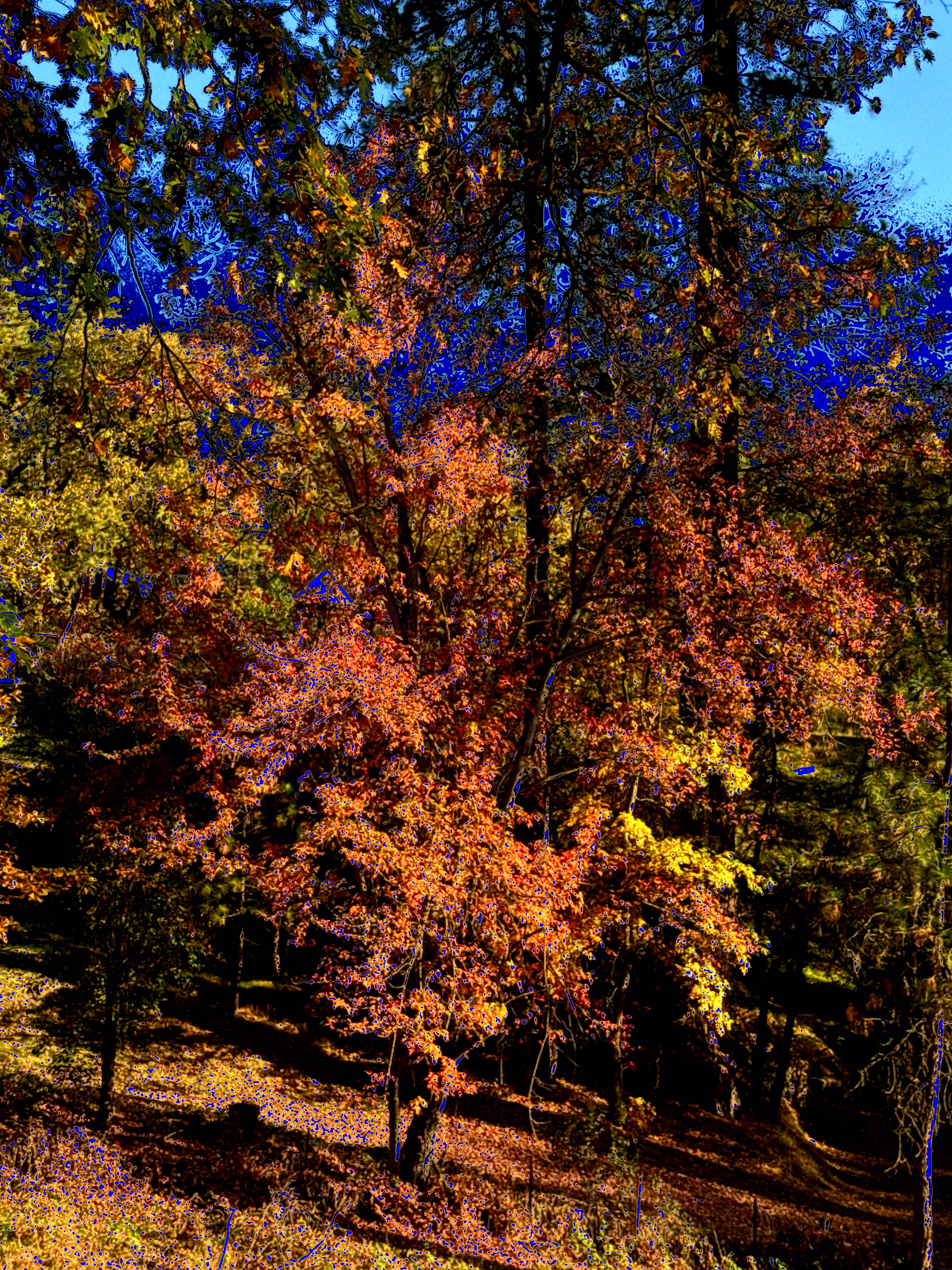 Last call for sunshine 