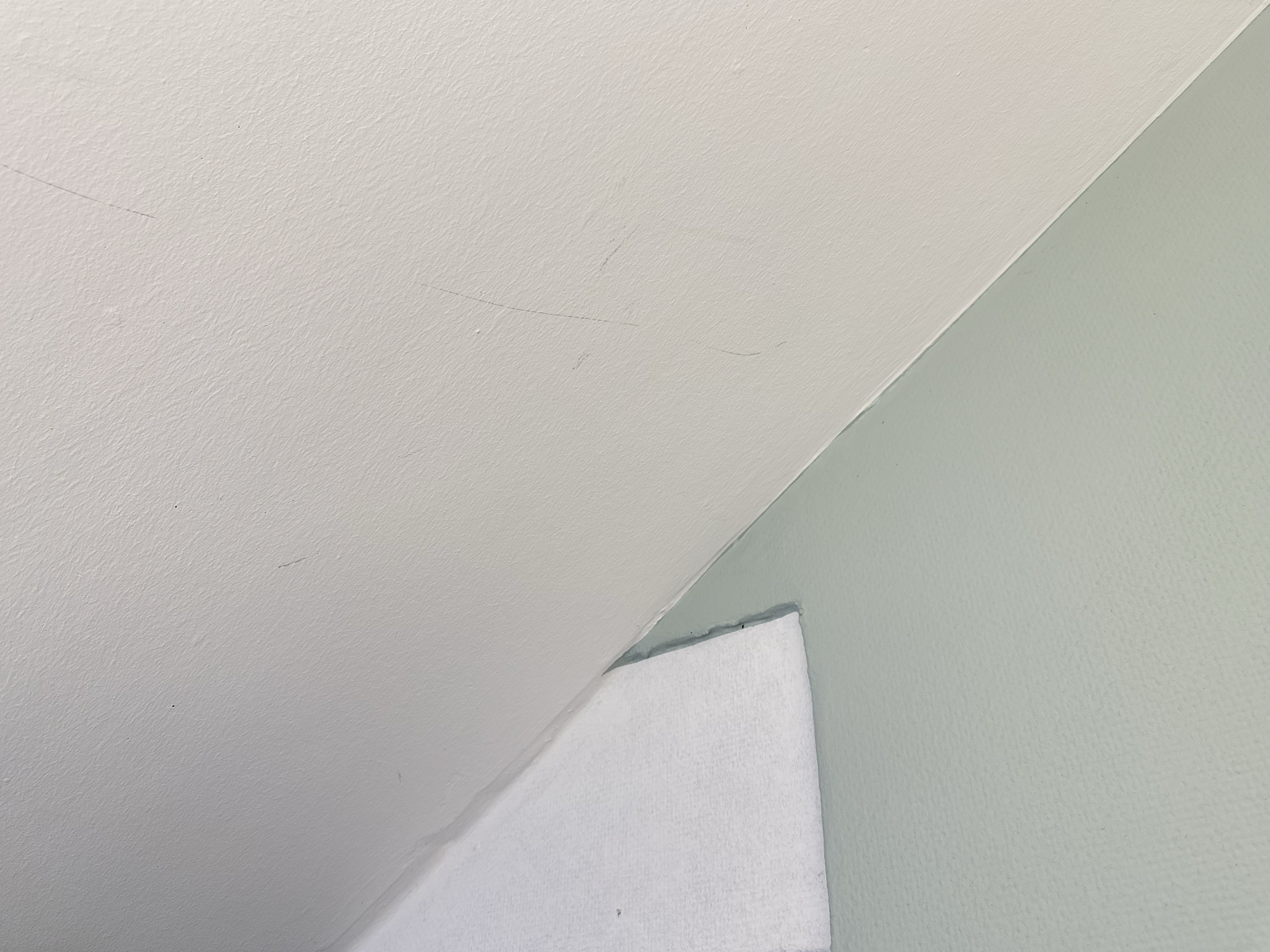 Mint In Your Head - Mint At Your Wall