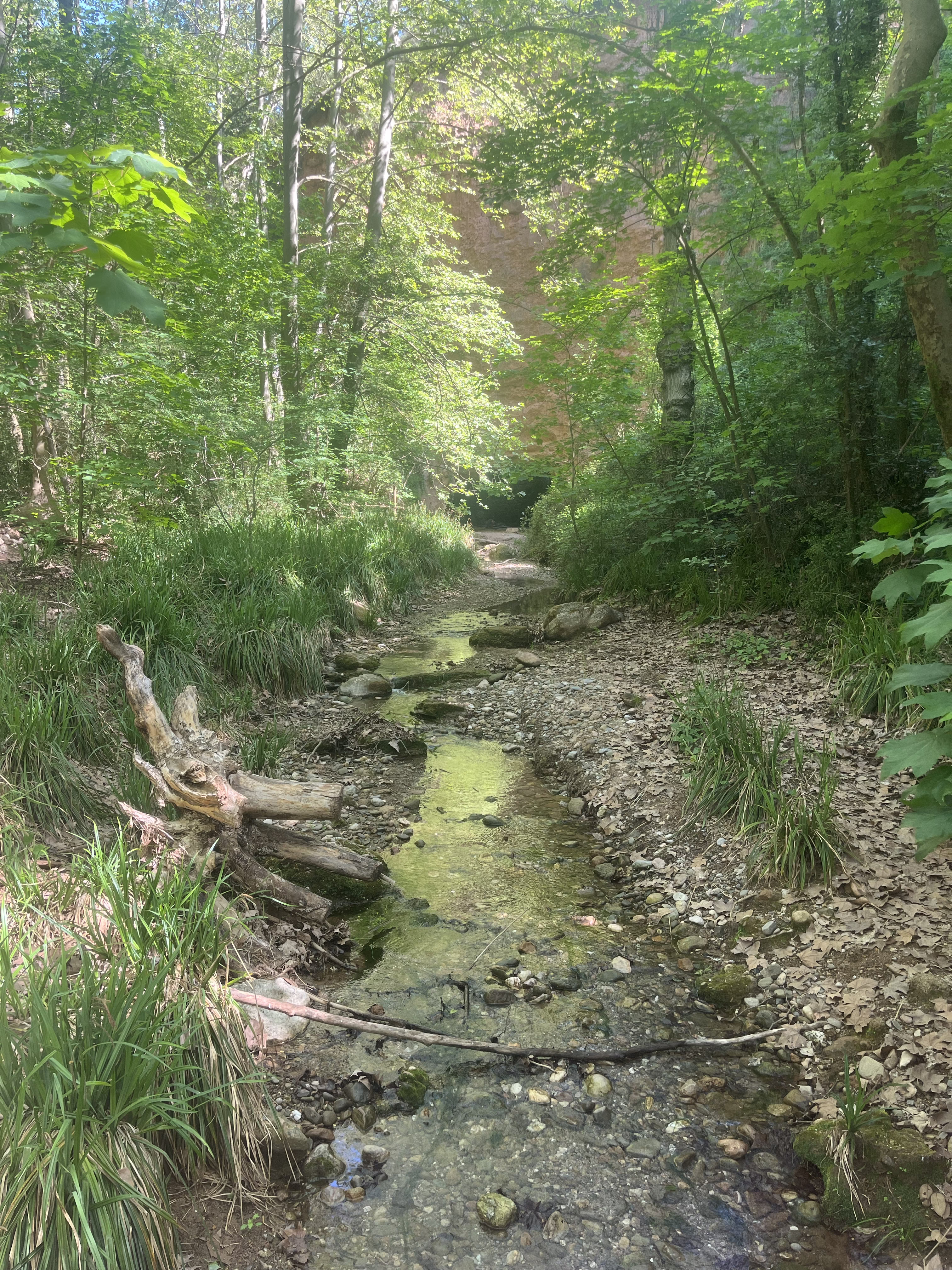 El torrent de Colobrers