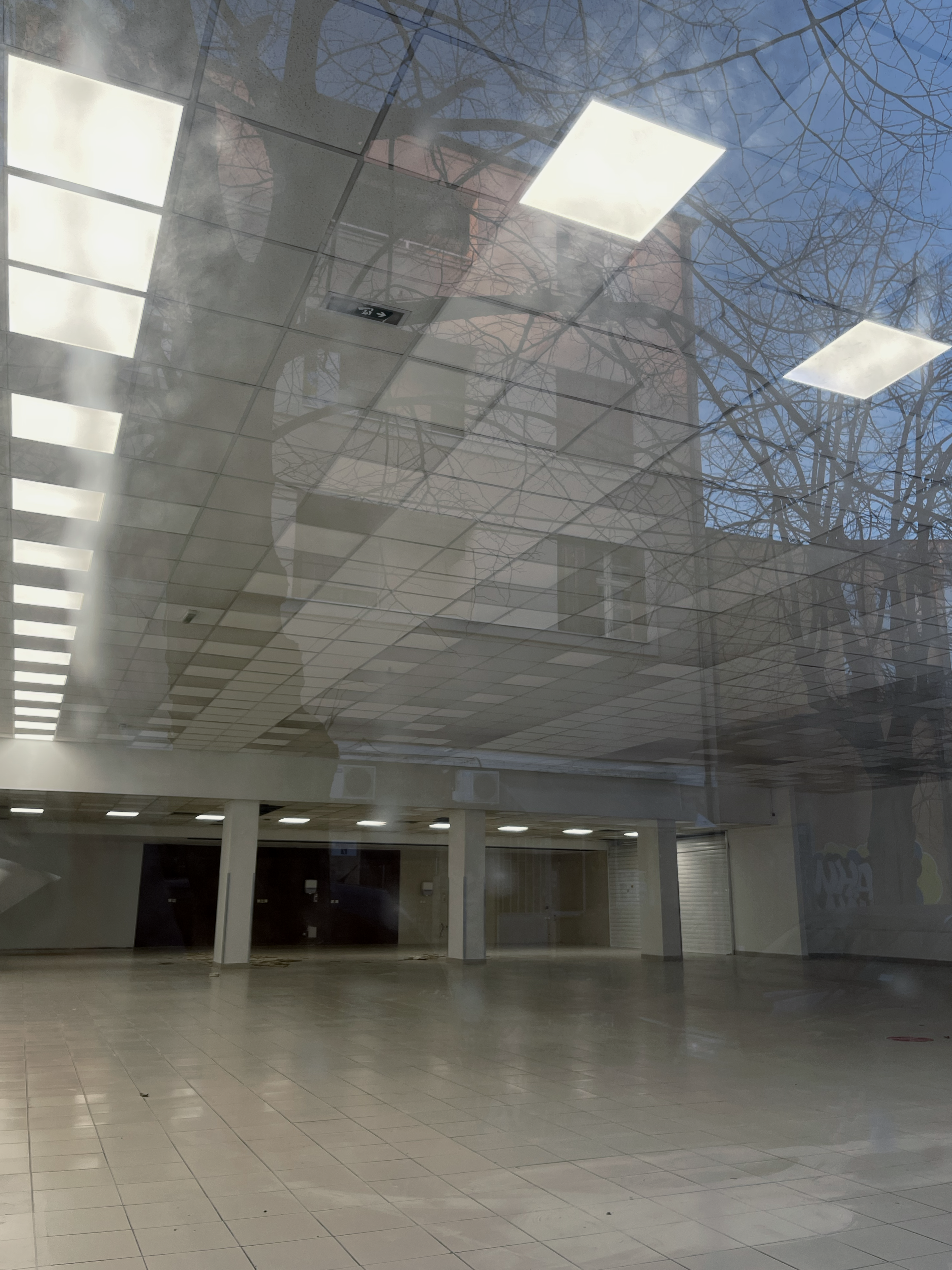 daily reflection _ 1