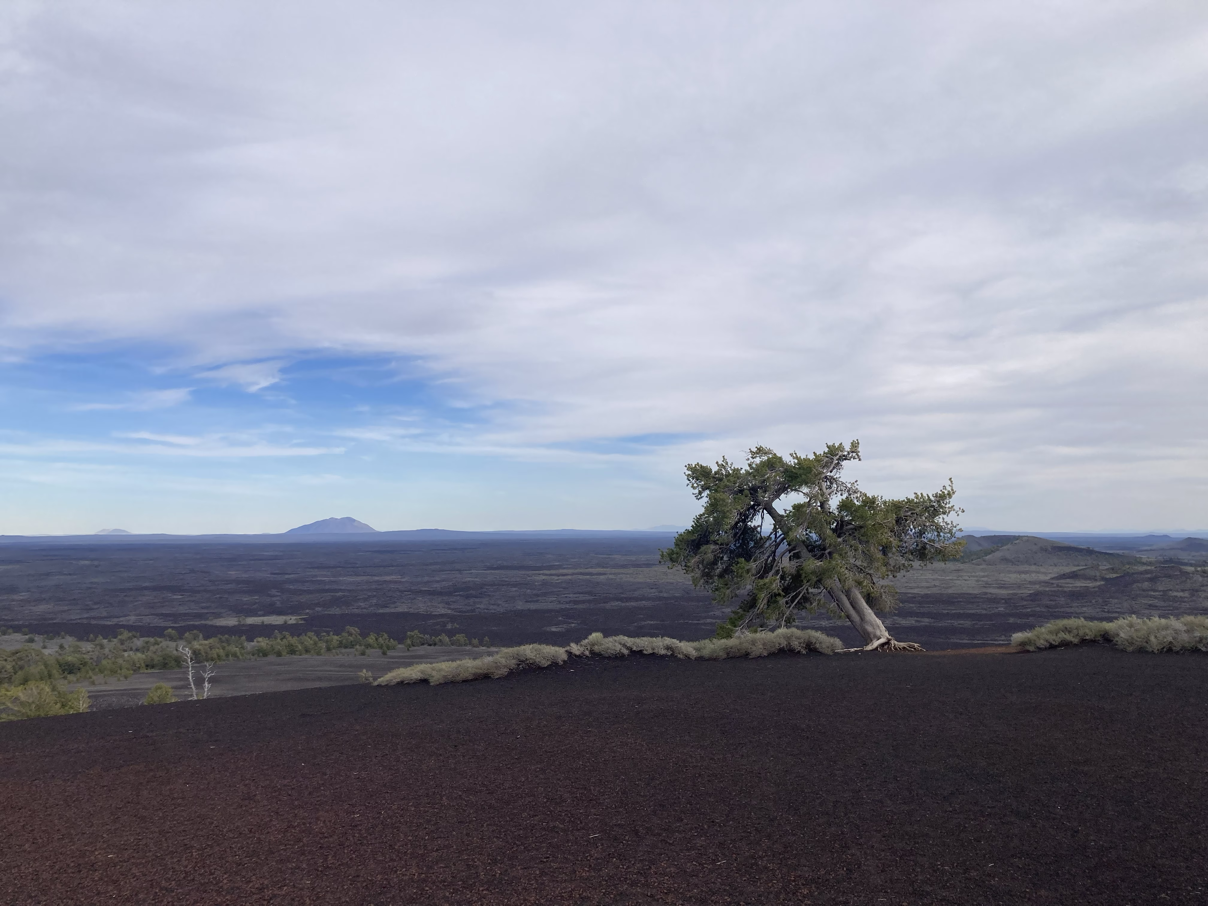 Photo 2174215