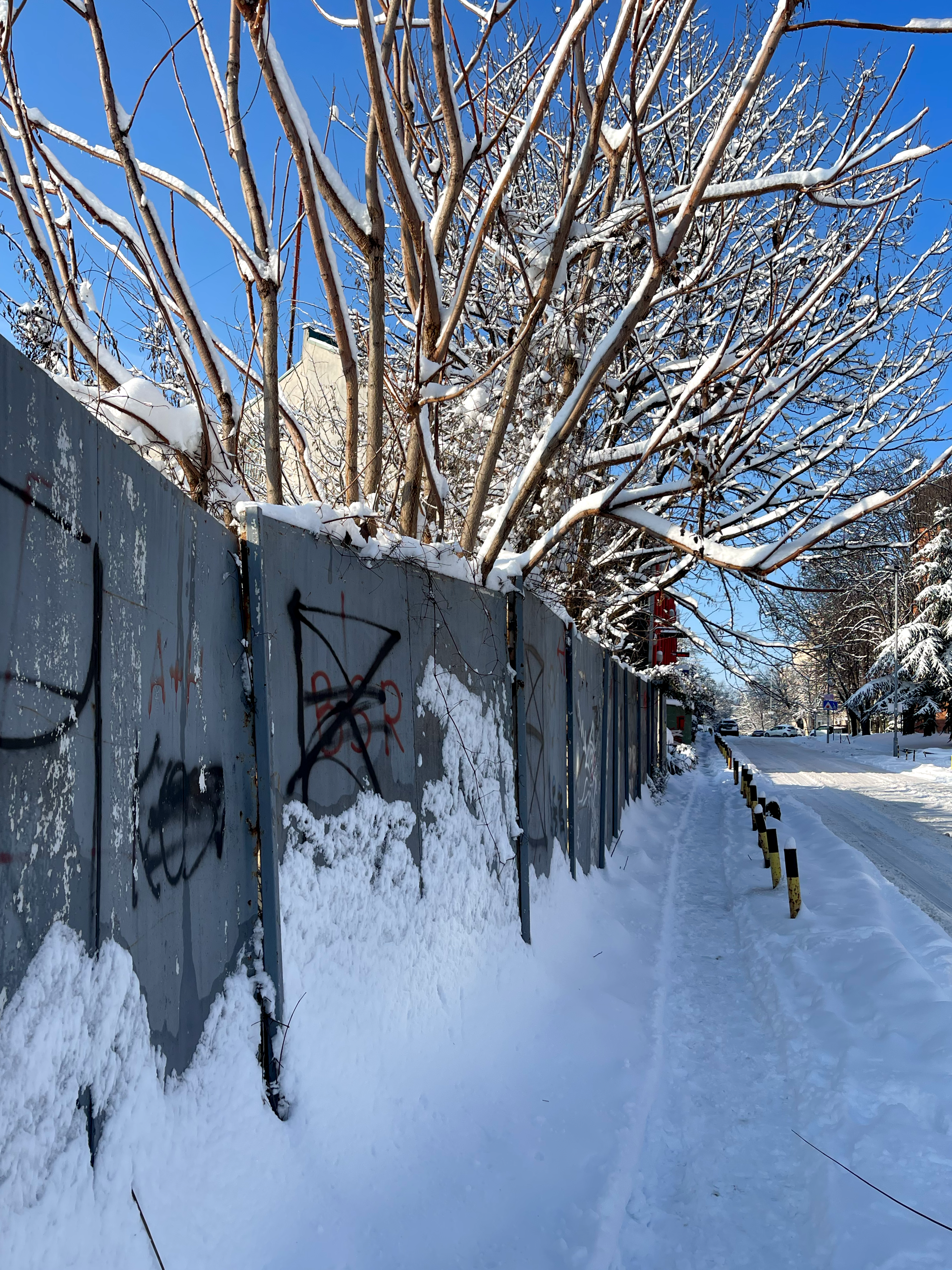 snow-covered everything 