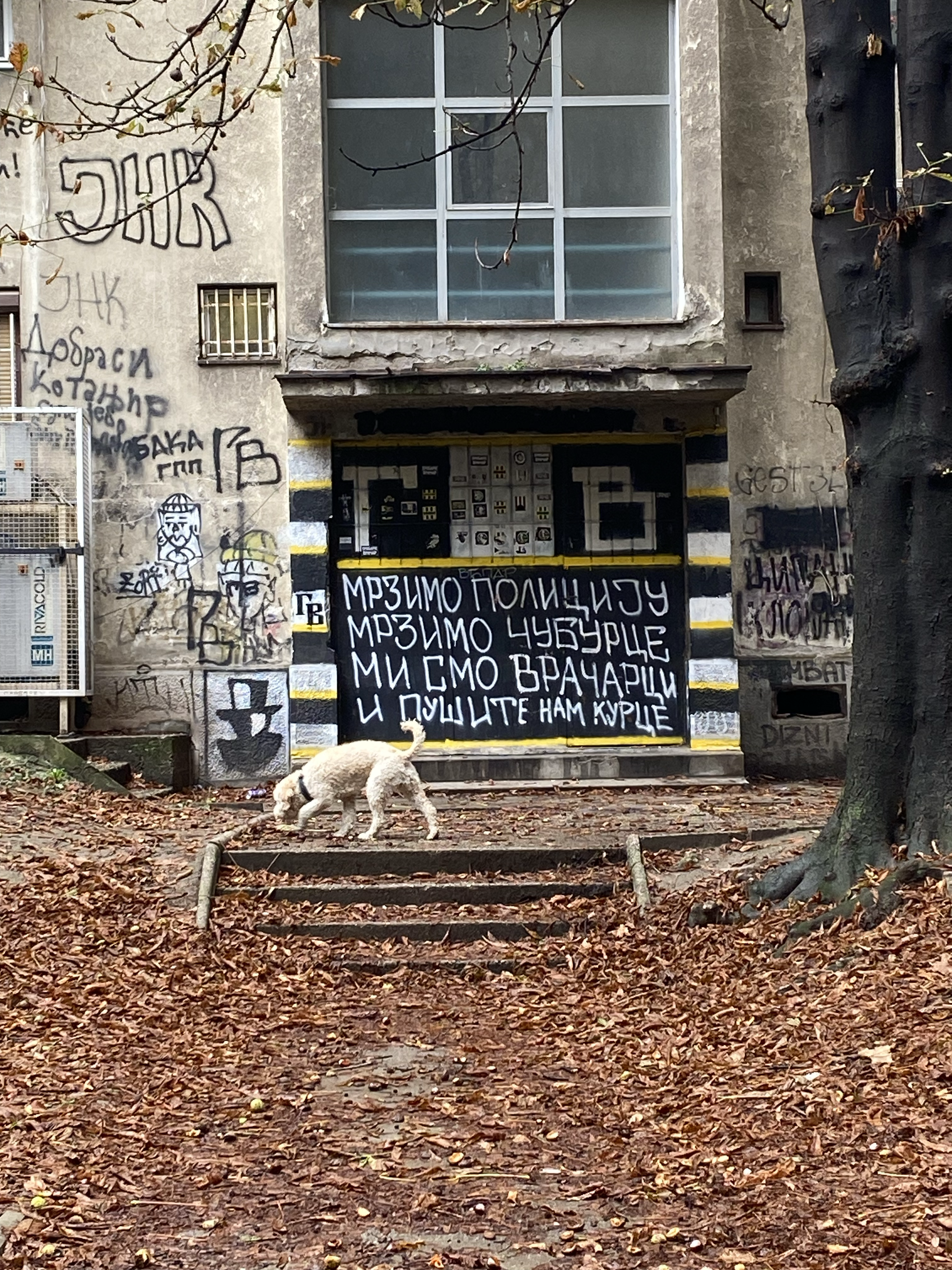 Concrete, graffiti, and one happy soul.