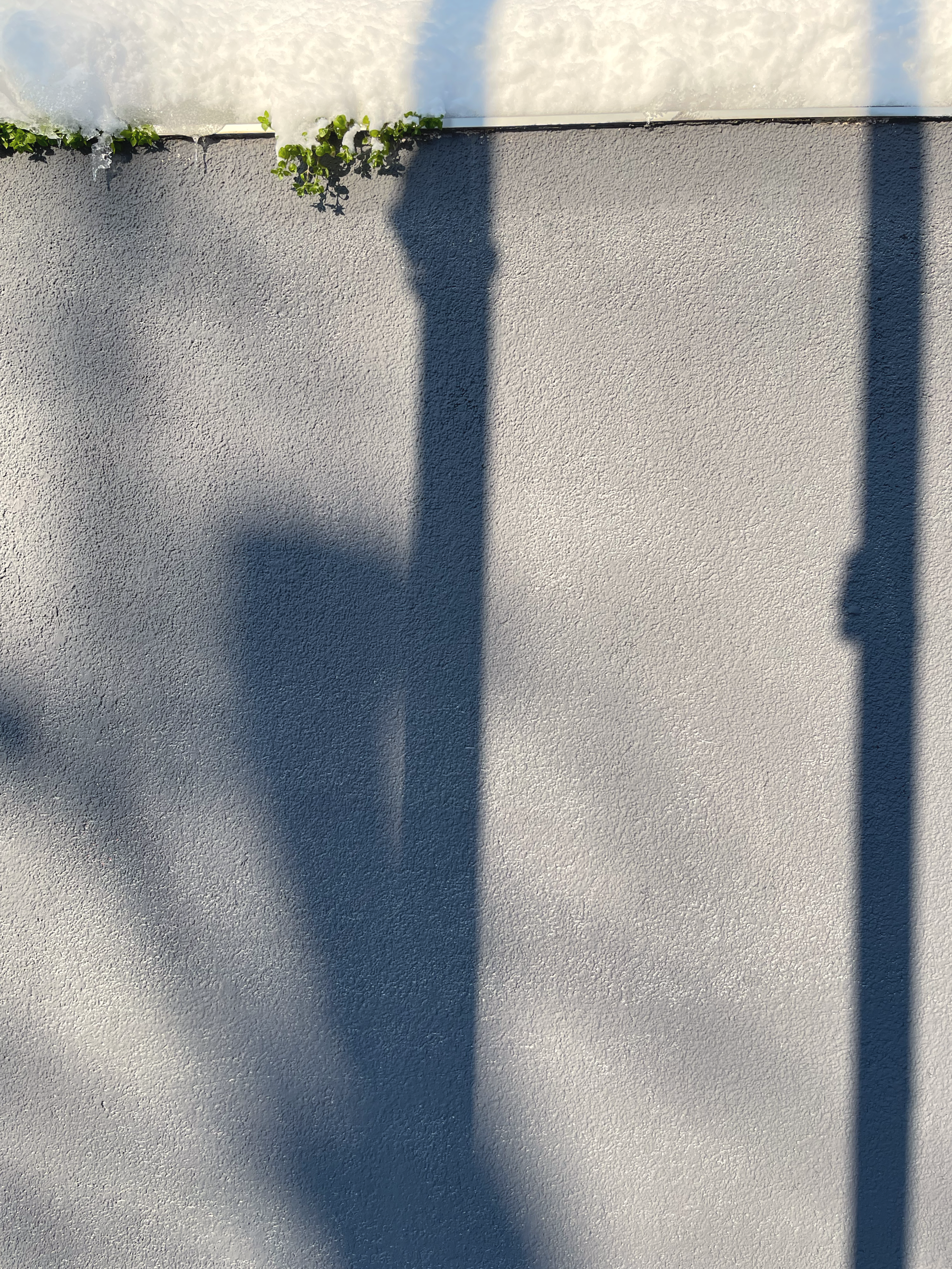 snow-covered shadows