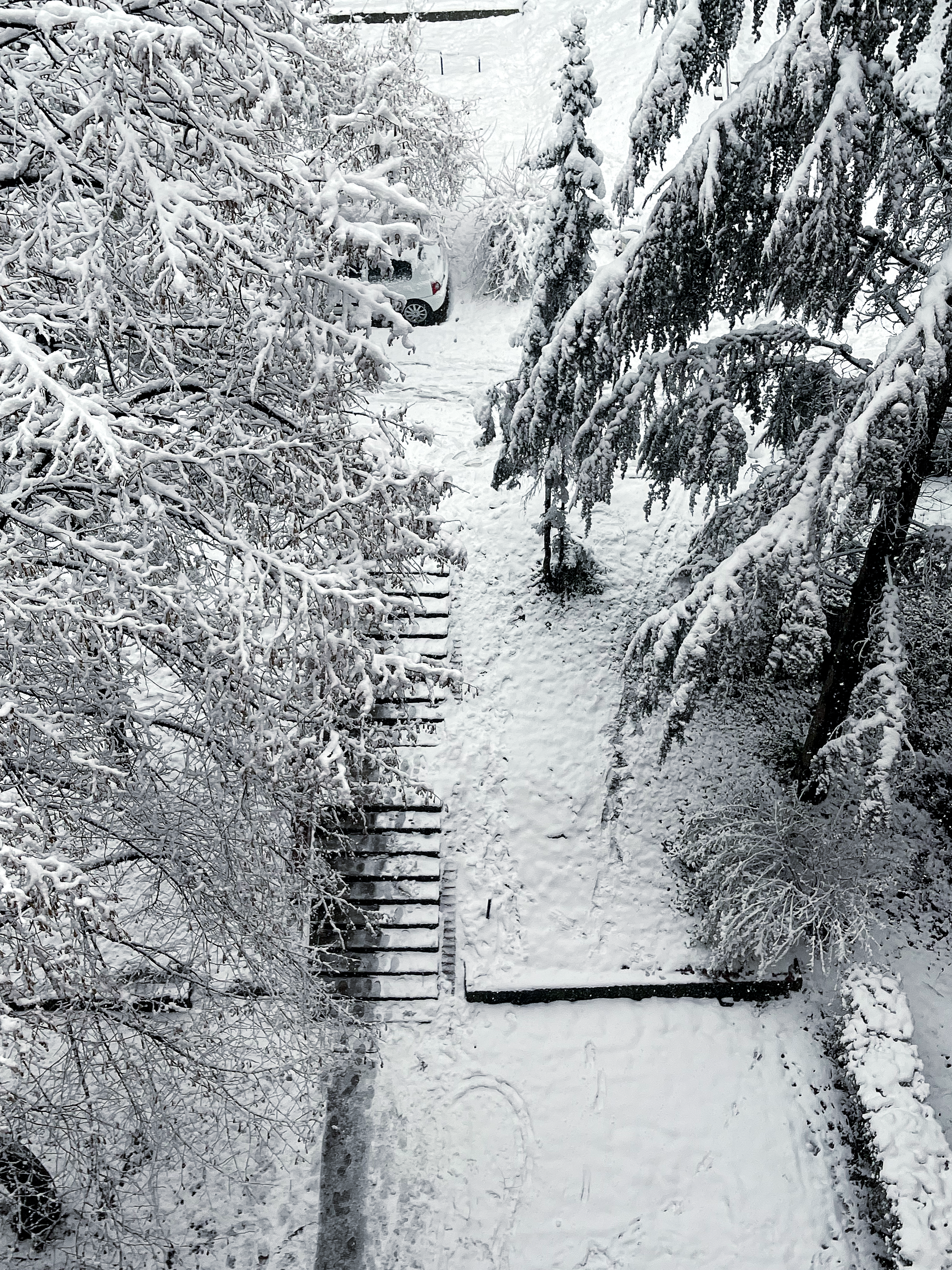 snow pathway 