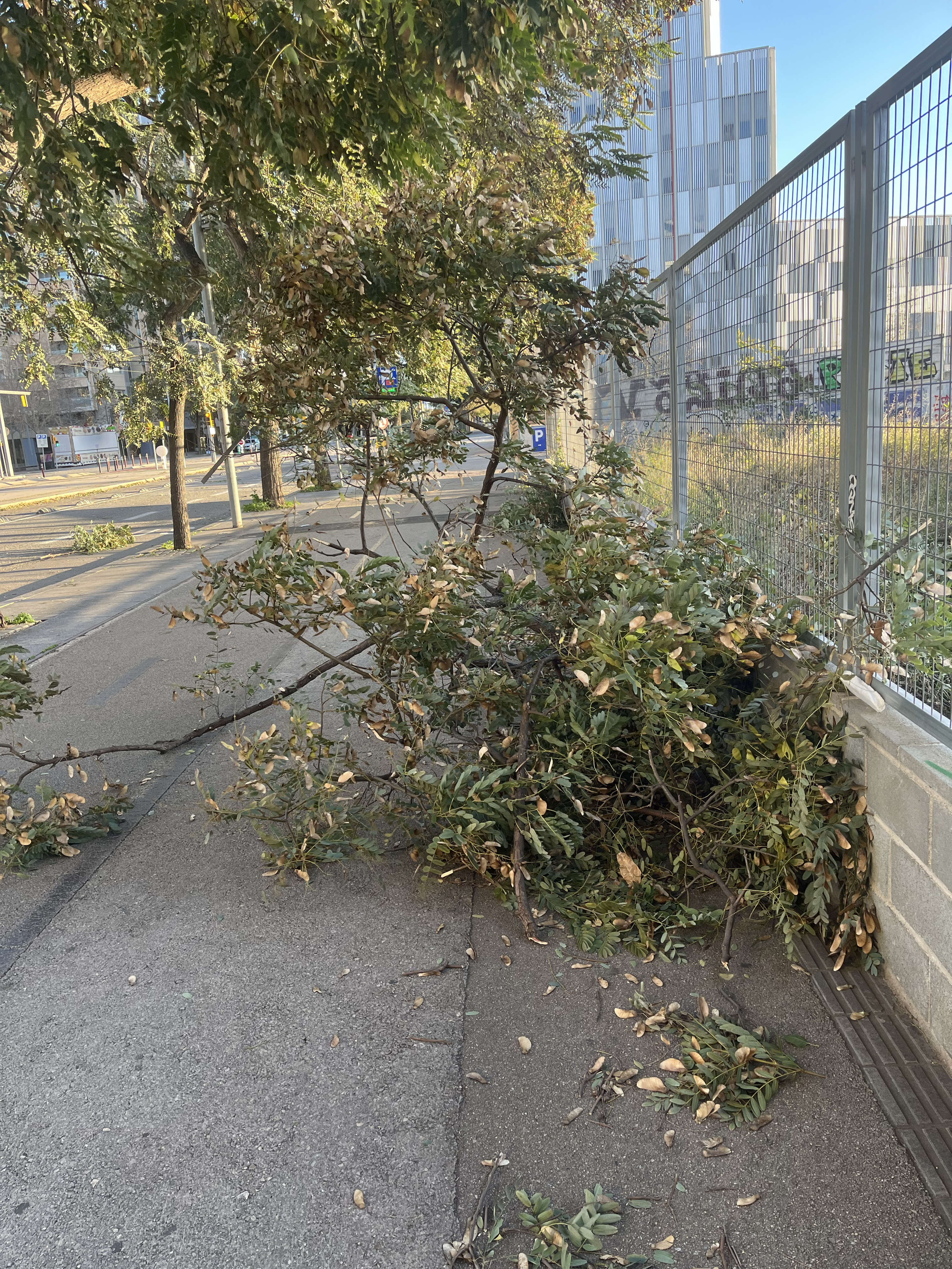 Last winter Hurricane