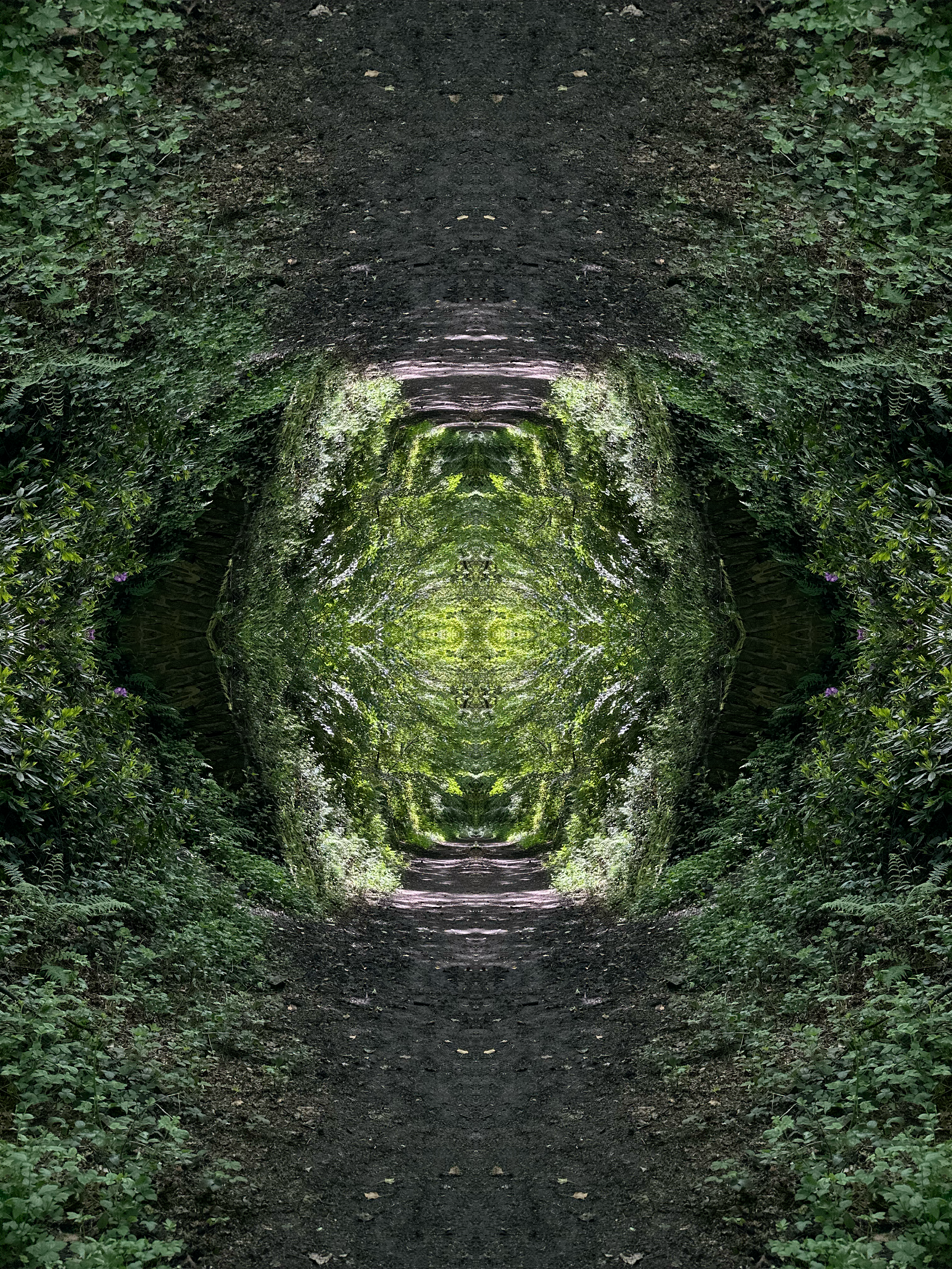 The Portal