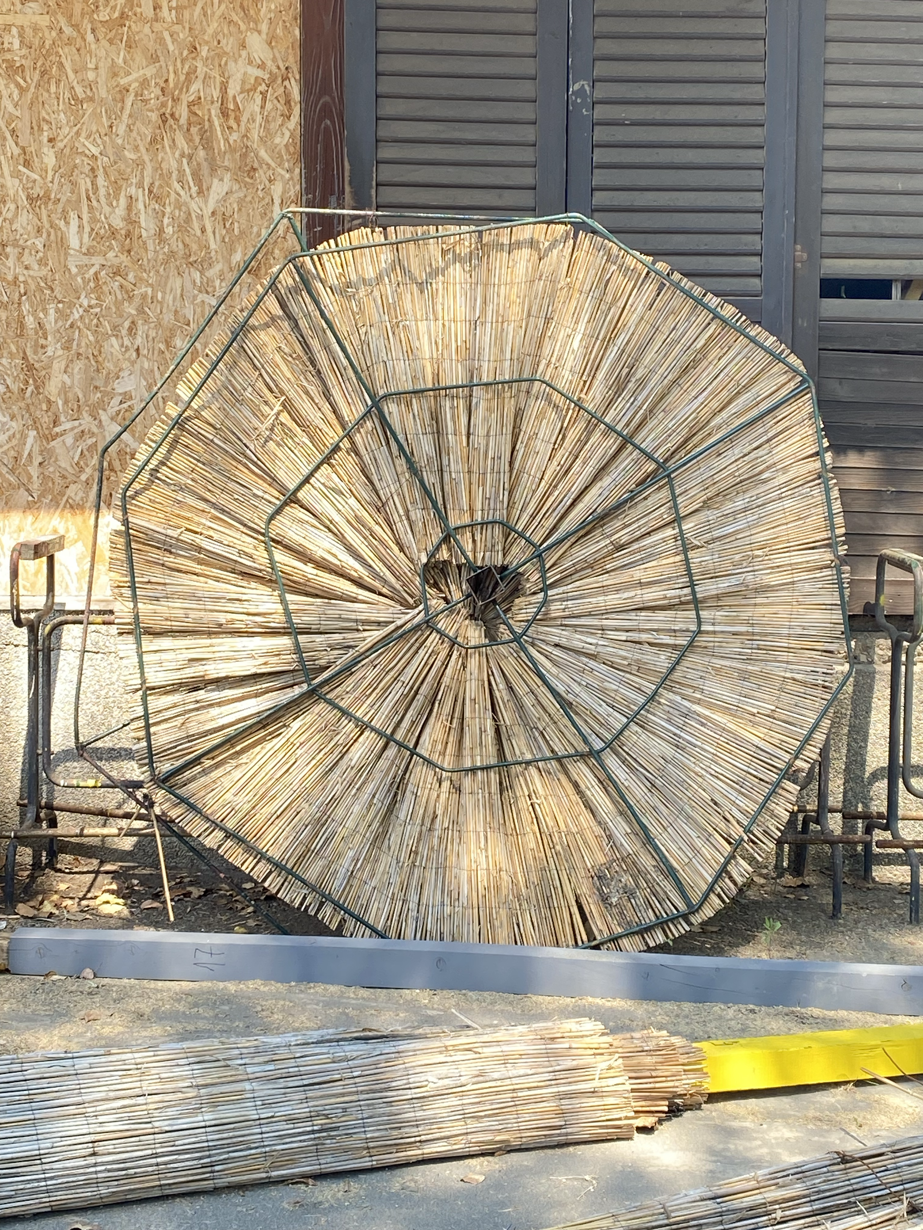 Reed Sun Umbrella Resting on Decay