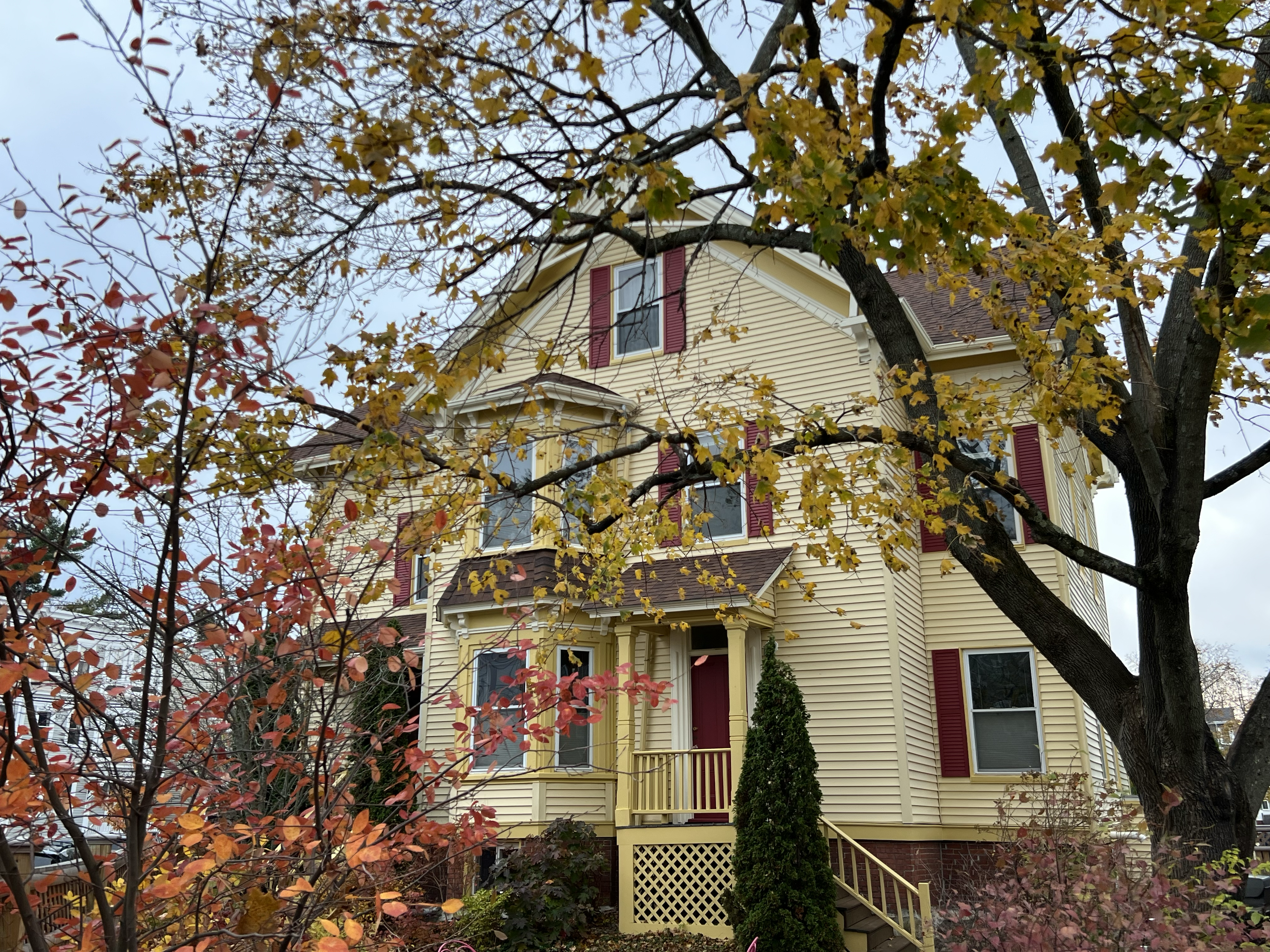 The Yellow House on the Corner