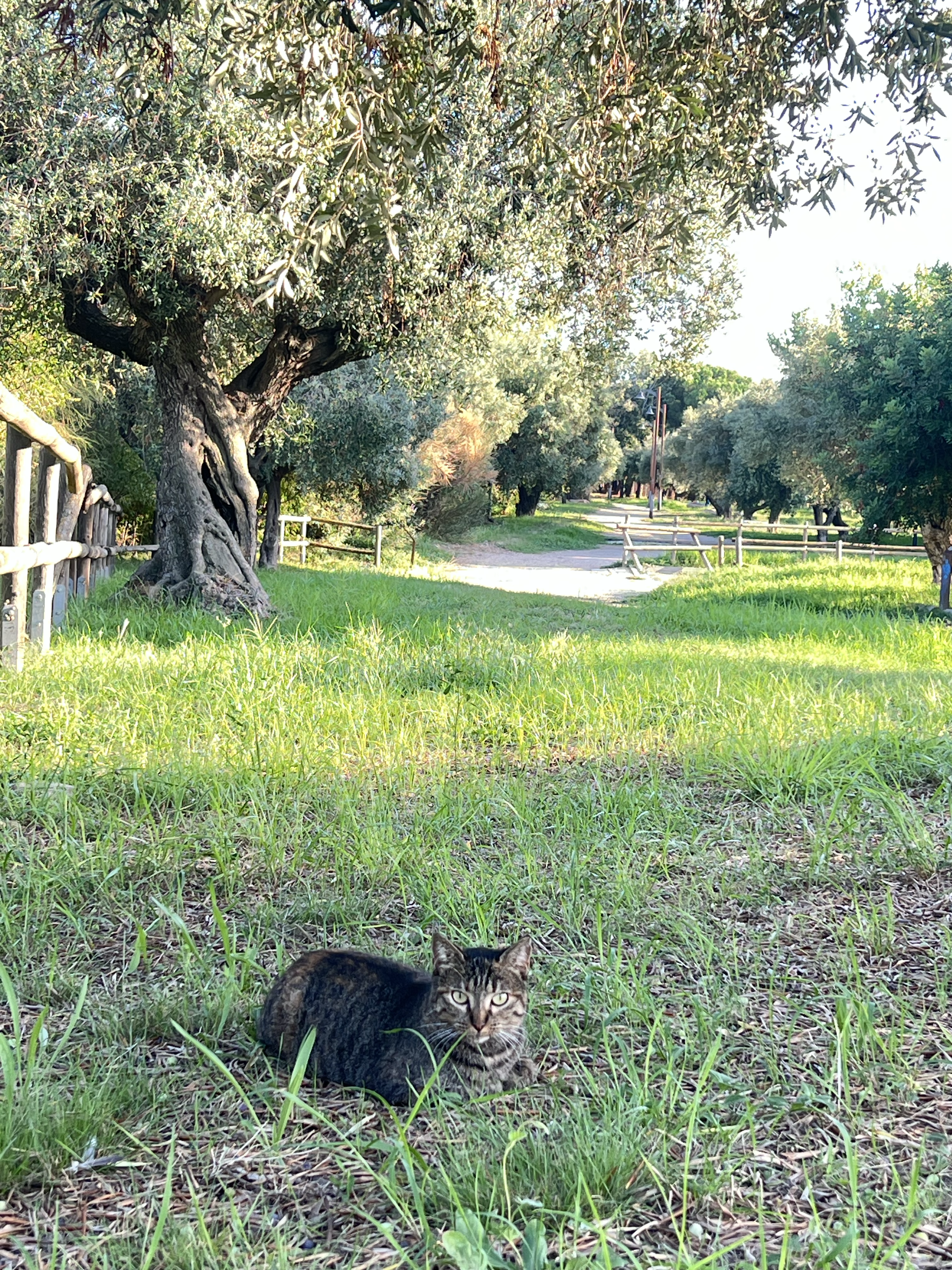 I have spotted you on my territory 