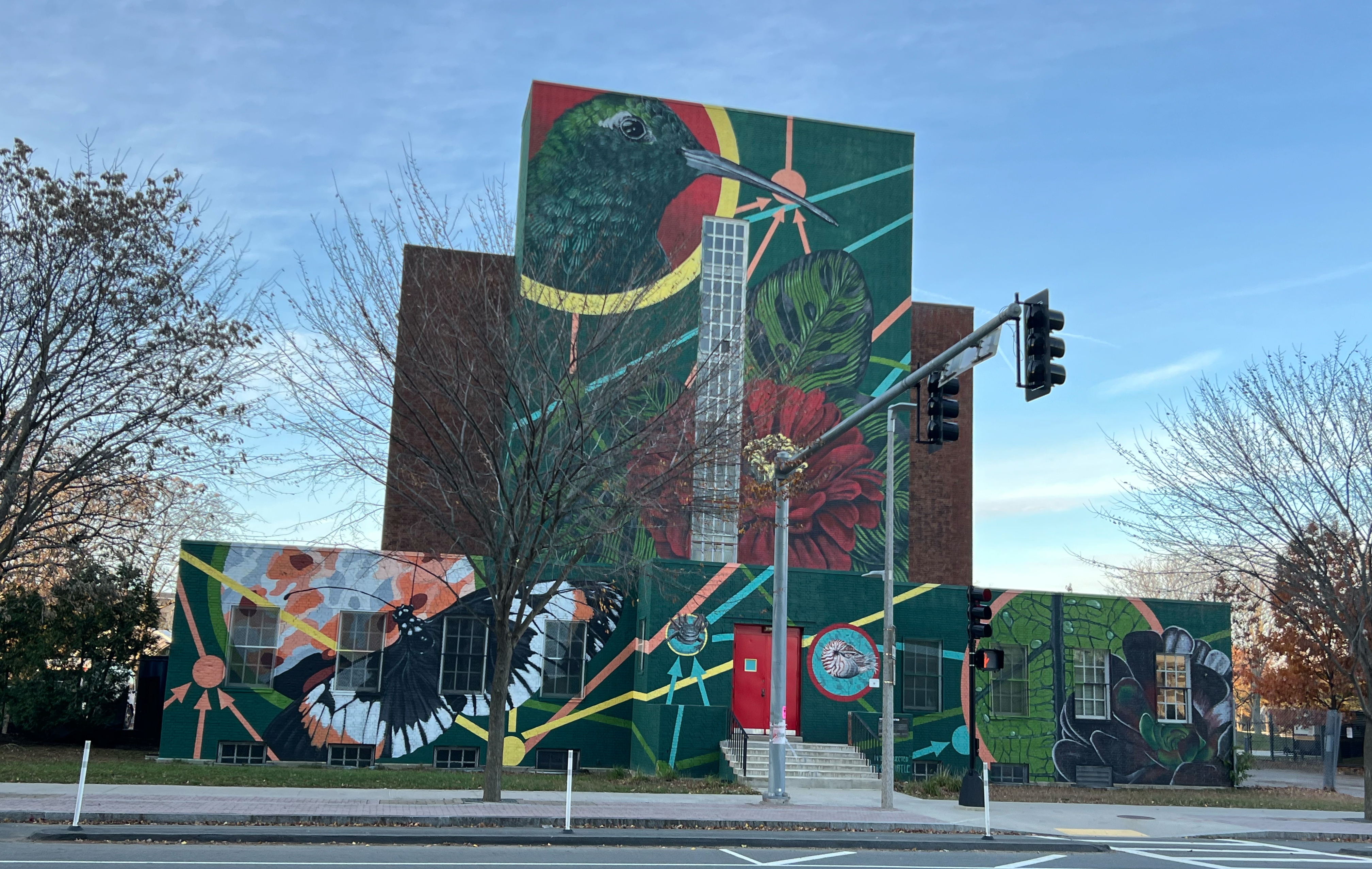 Interconnected by Sophy Tuttle