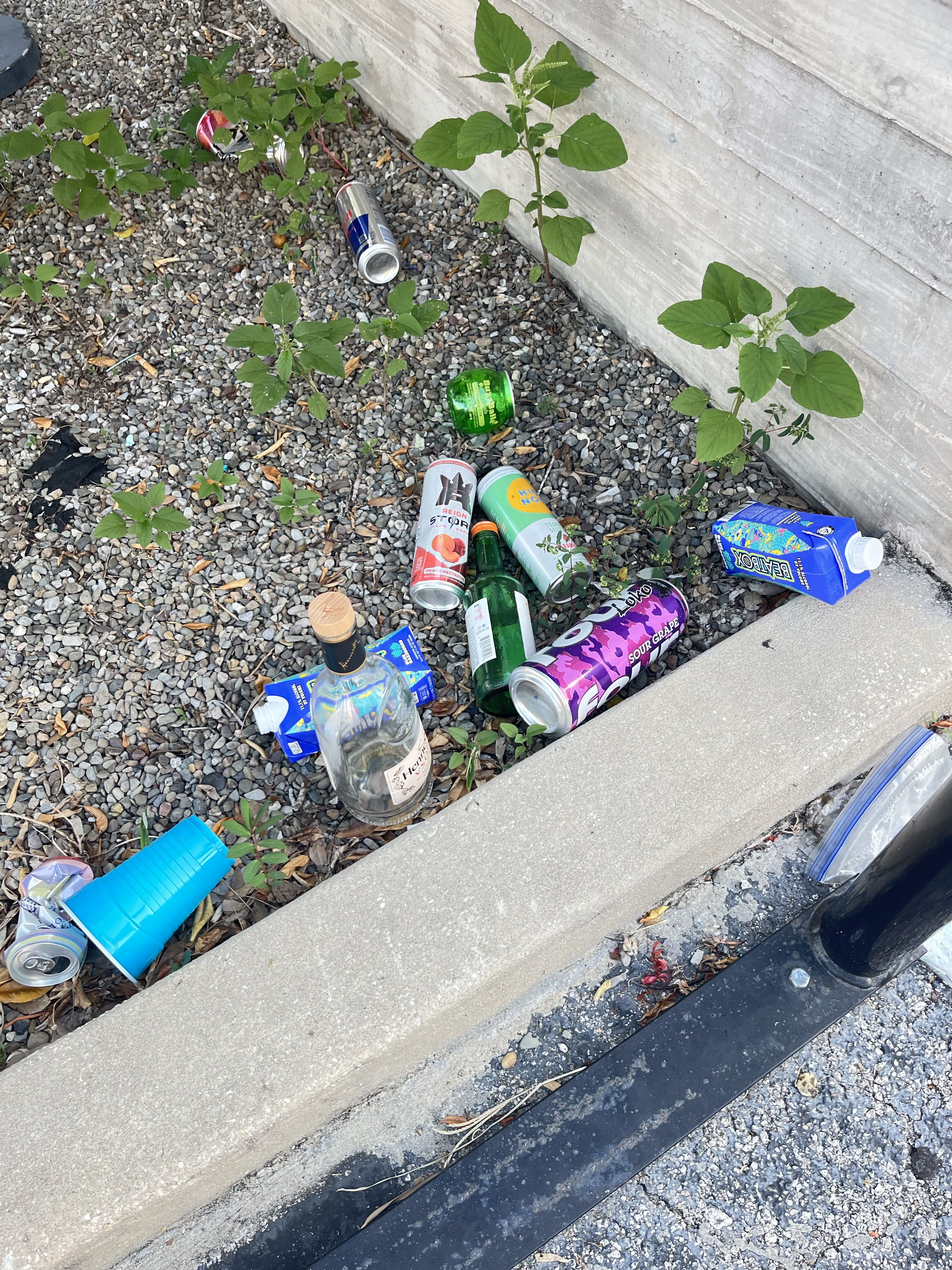 Michelin Star Trash!