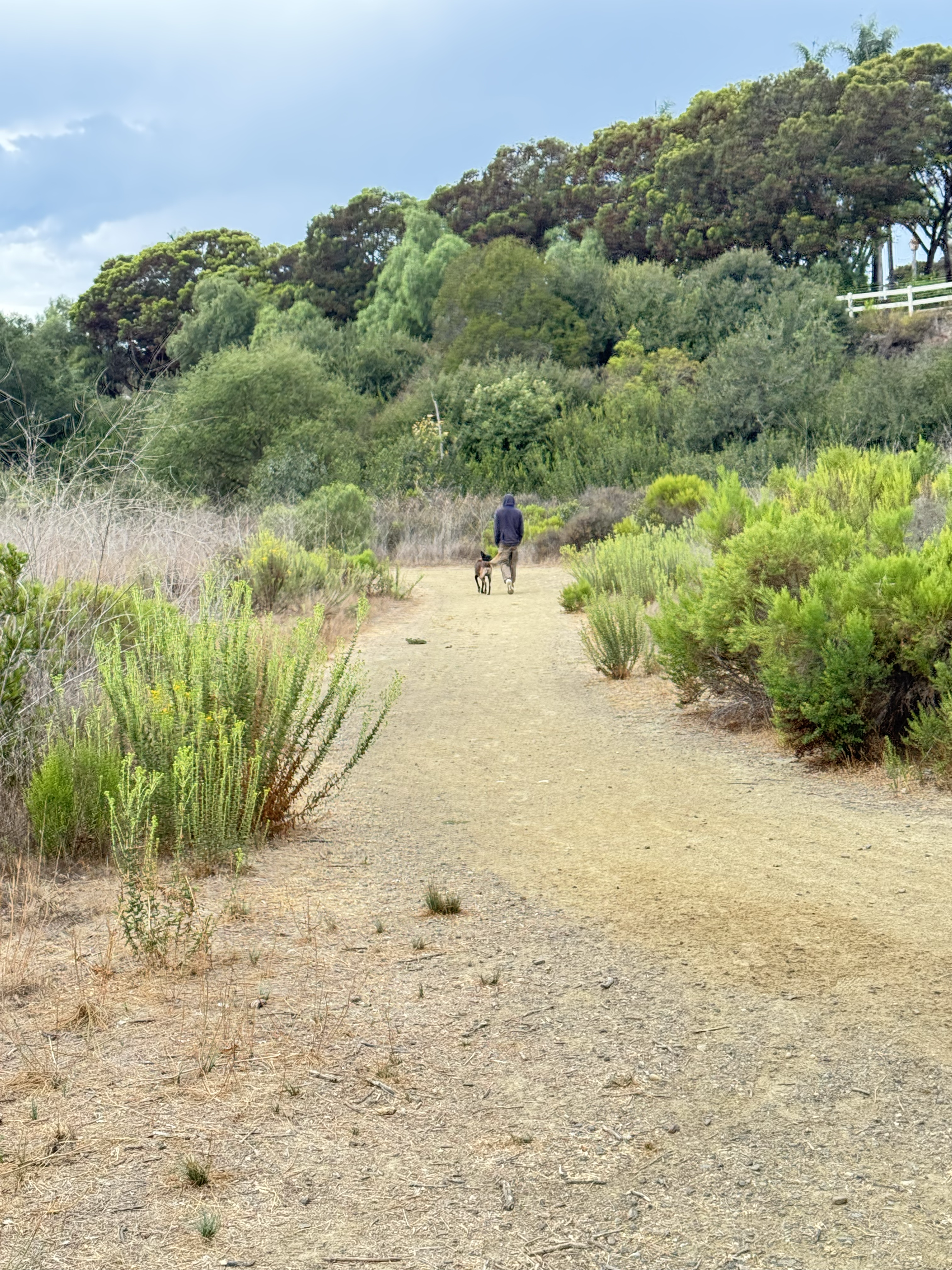Solitude on the trail 