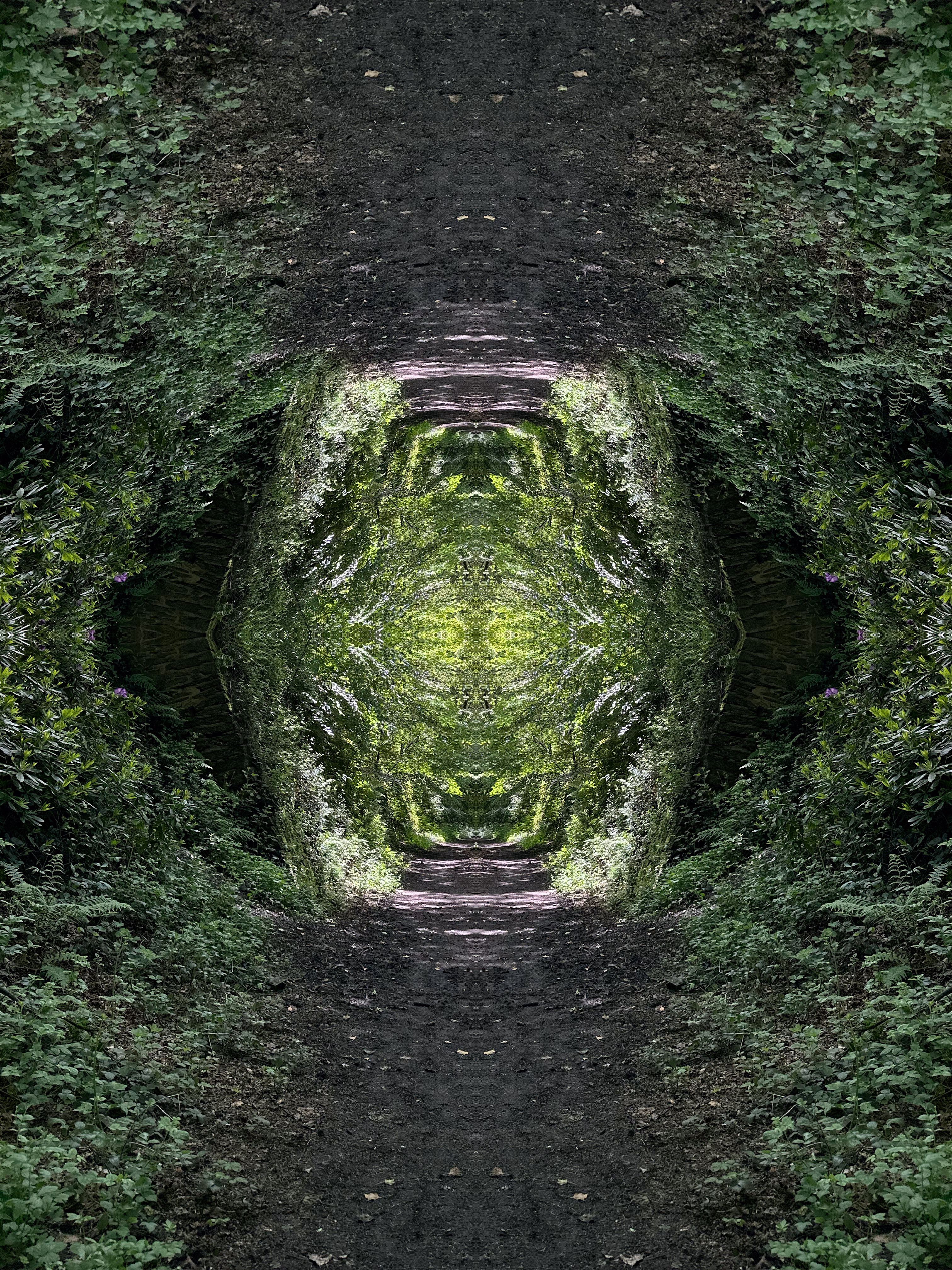 The Portal