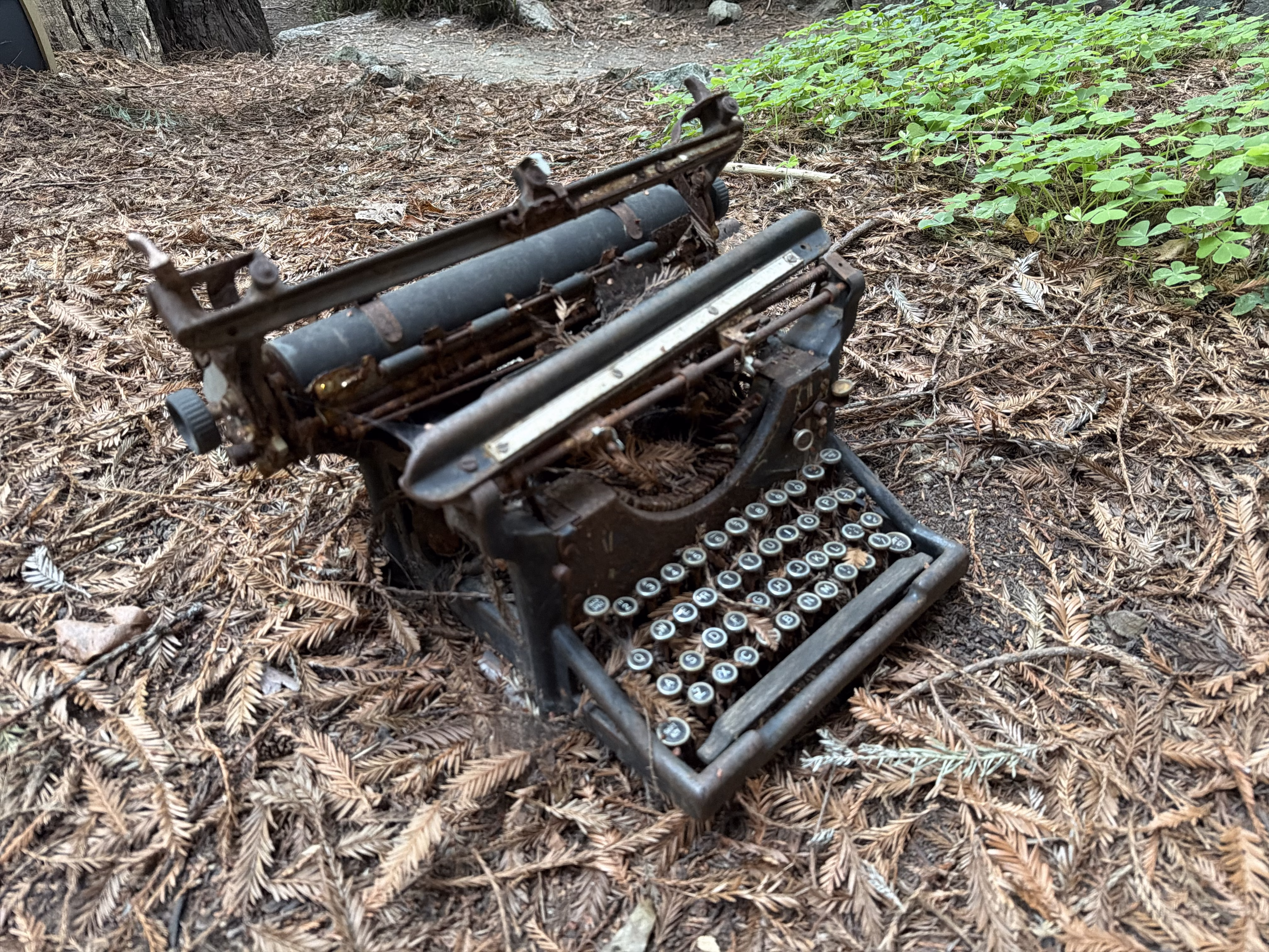 Grounded Typewriter at Henry Miller Library 